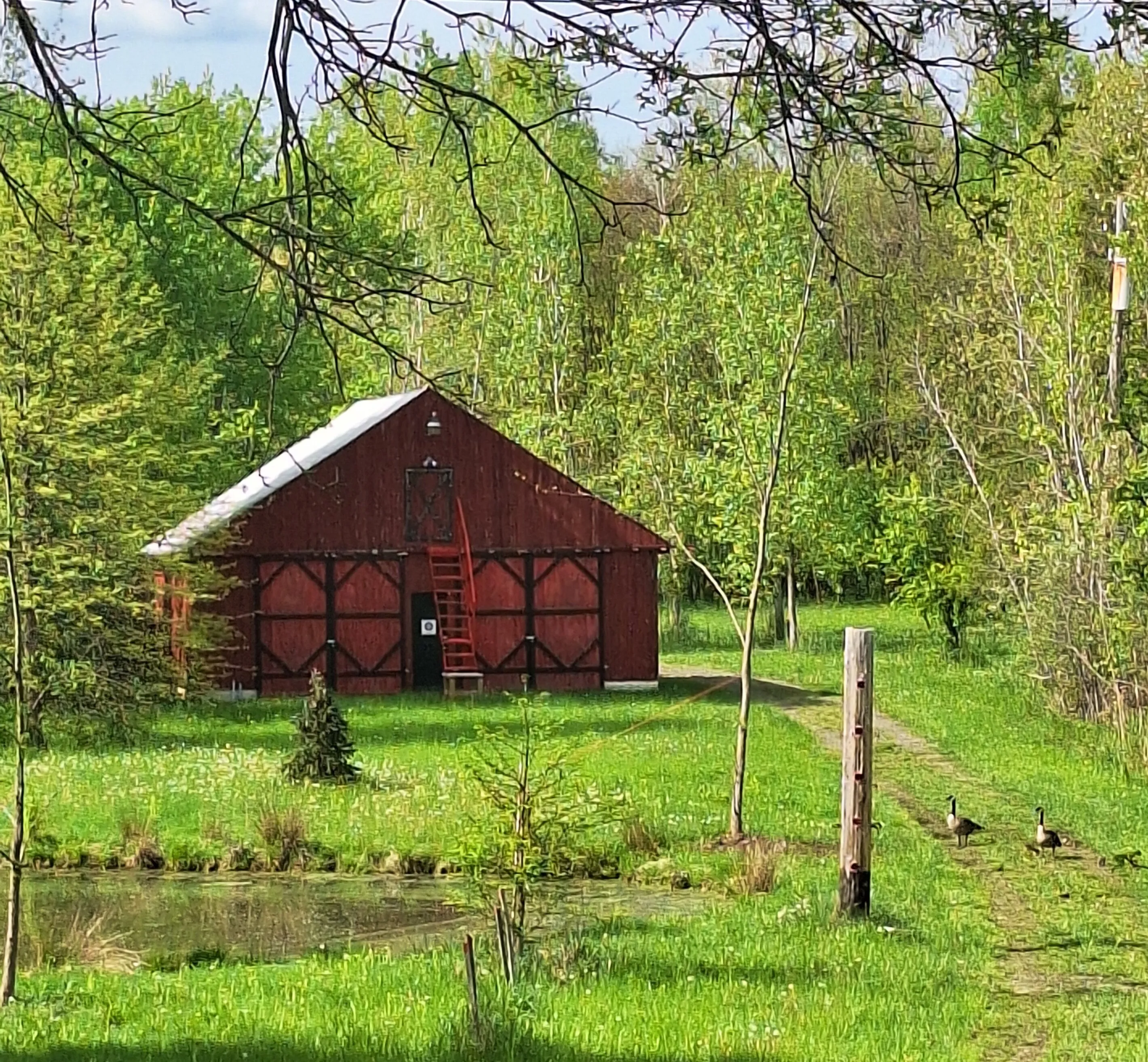 BARNS