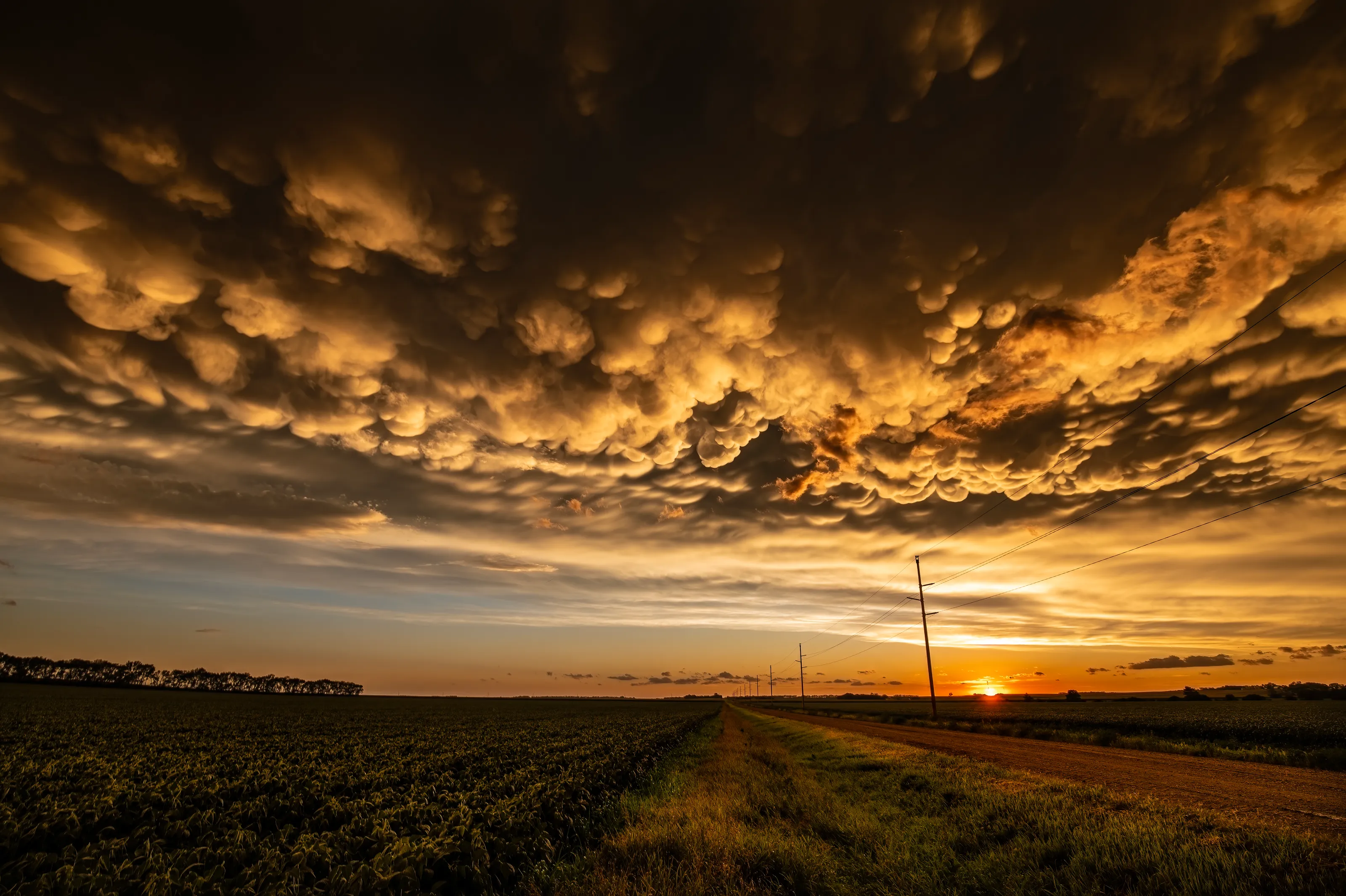 Mammatus Sunset