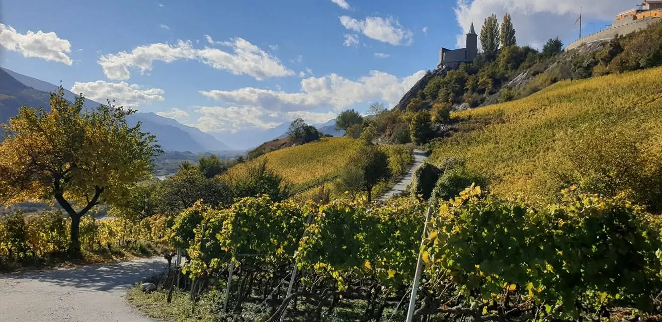Herbstliche Weinlandschaft in Varen, Wallis