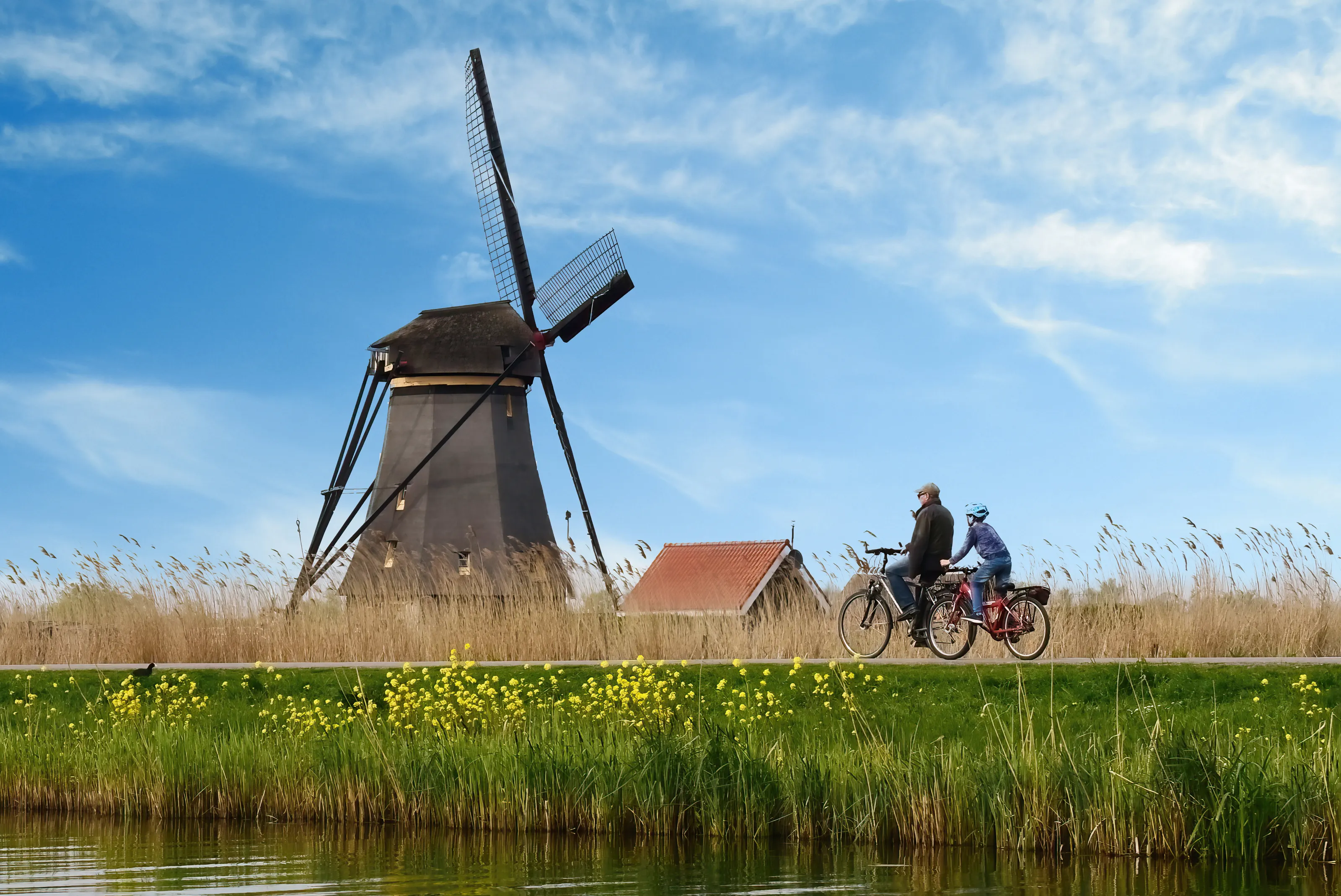 Bicycles on Off-Road Cycle Trails