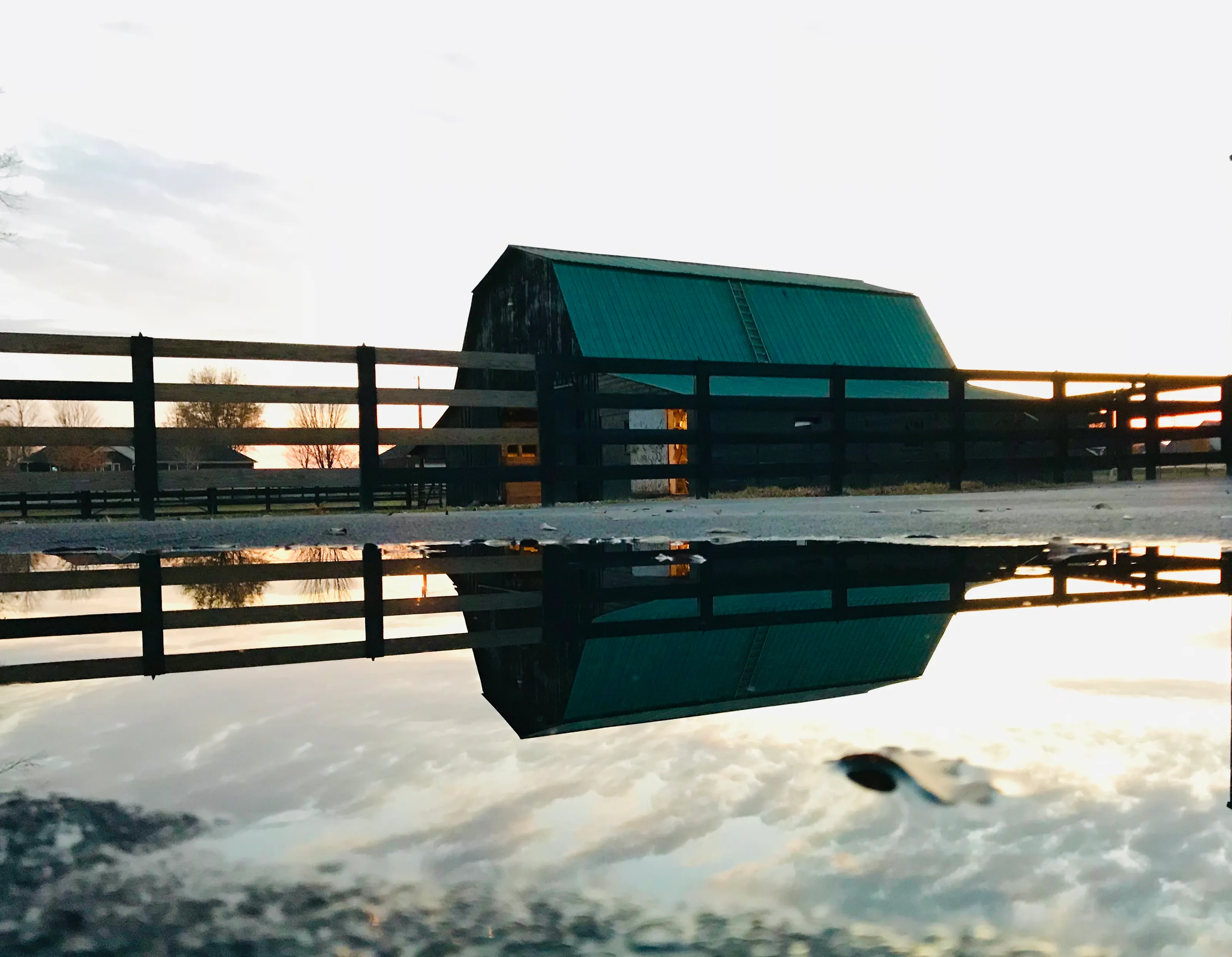 Mirrored realities