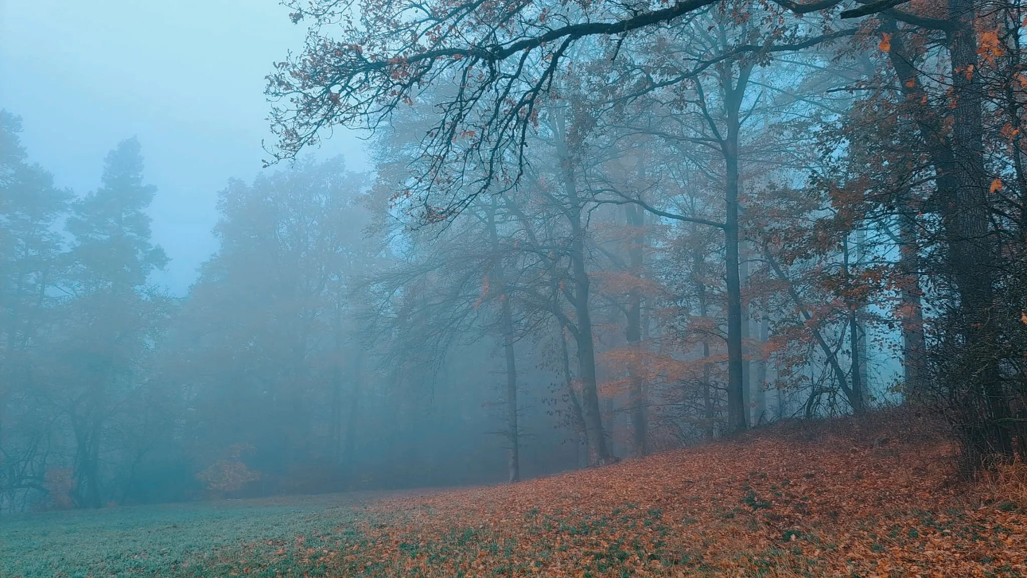 A fleeting pause between silence and light.