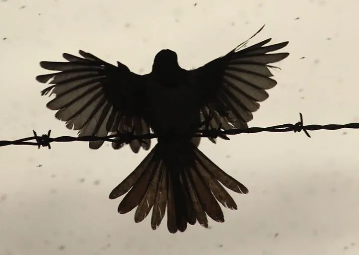 Time to fly