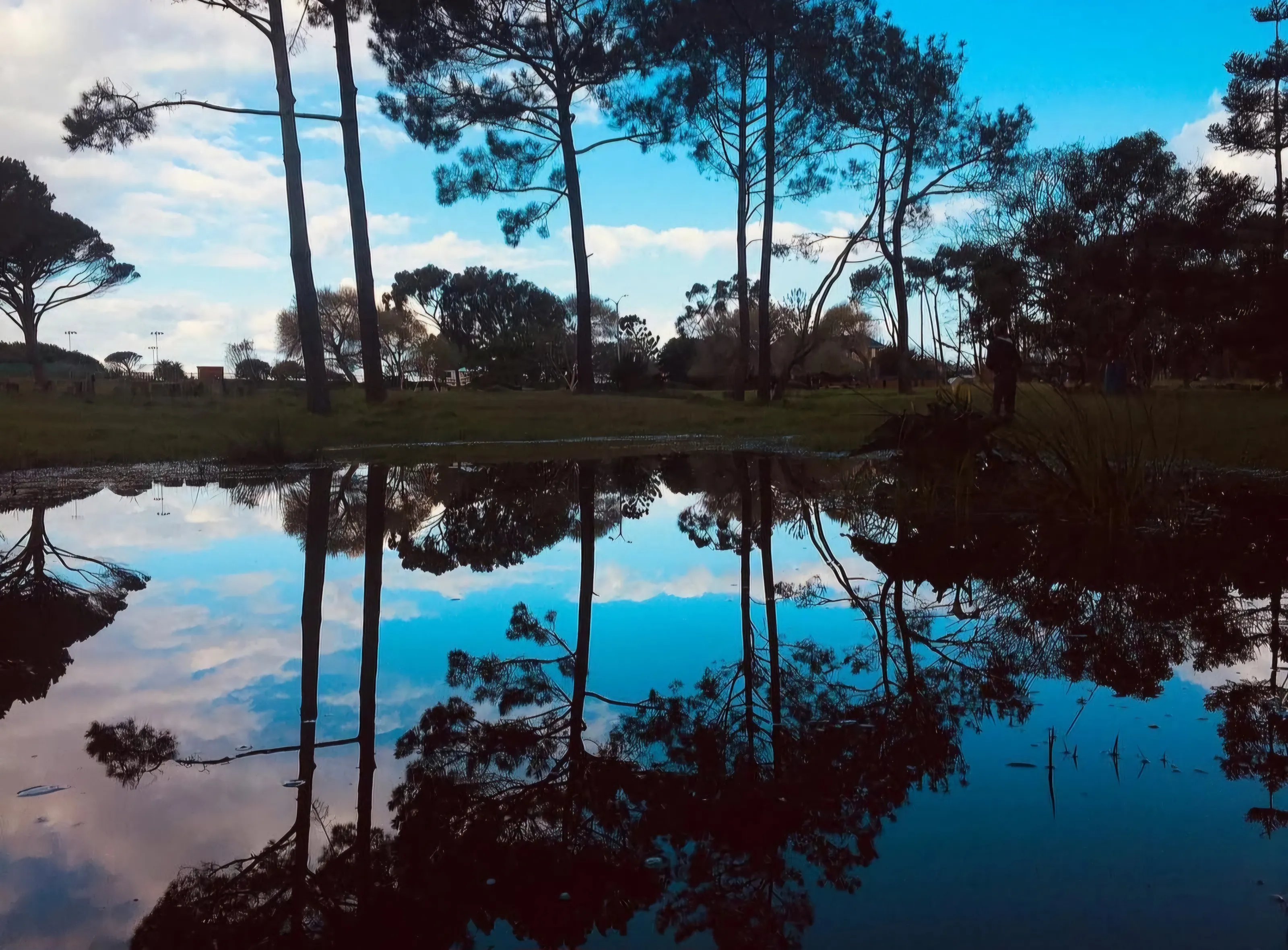 MIRROR MIRROW ON THE DAM
