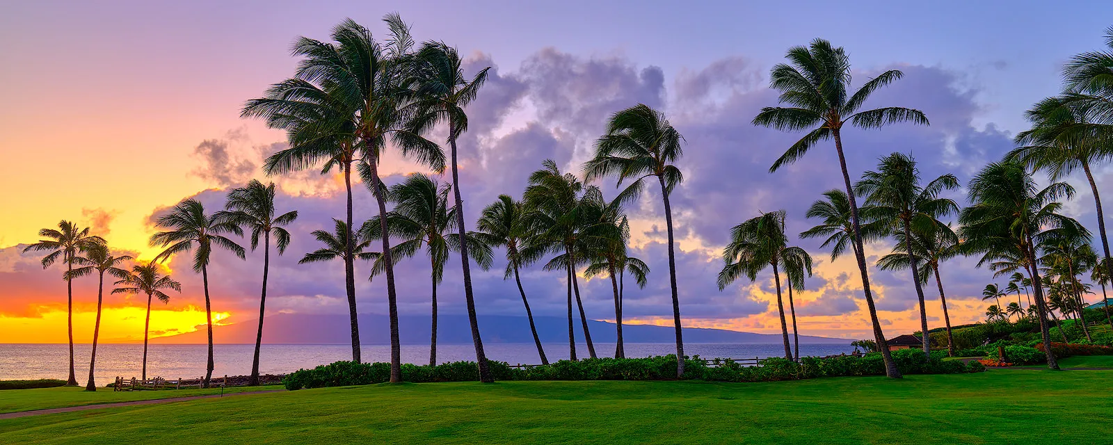 Beautiful Maui night