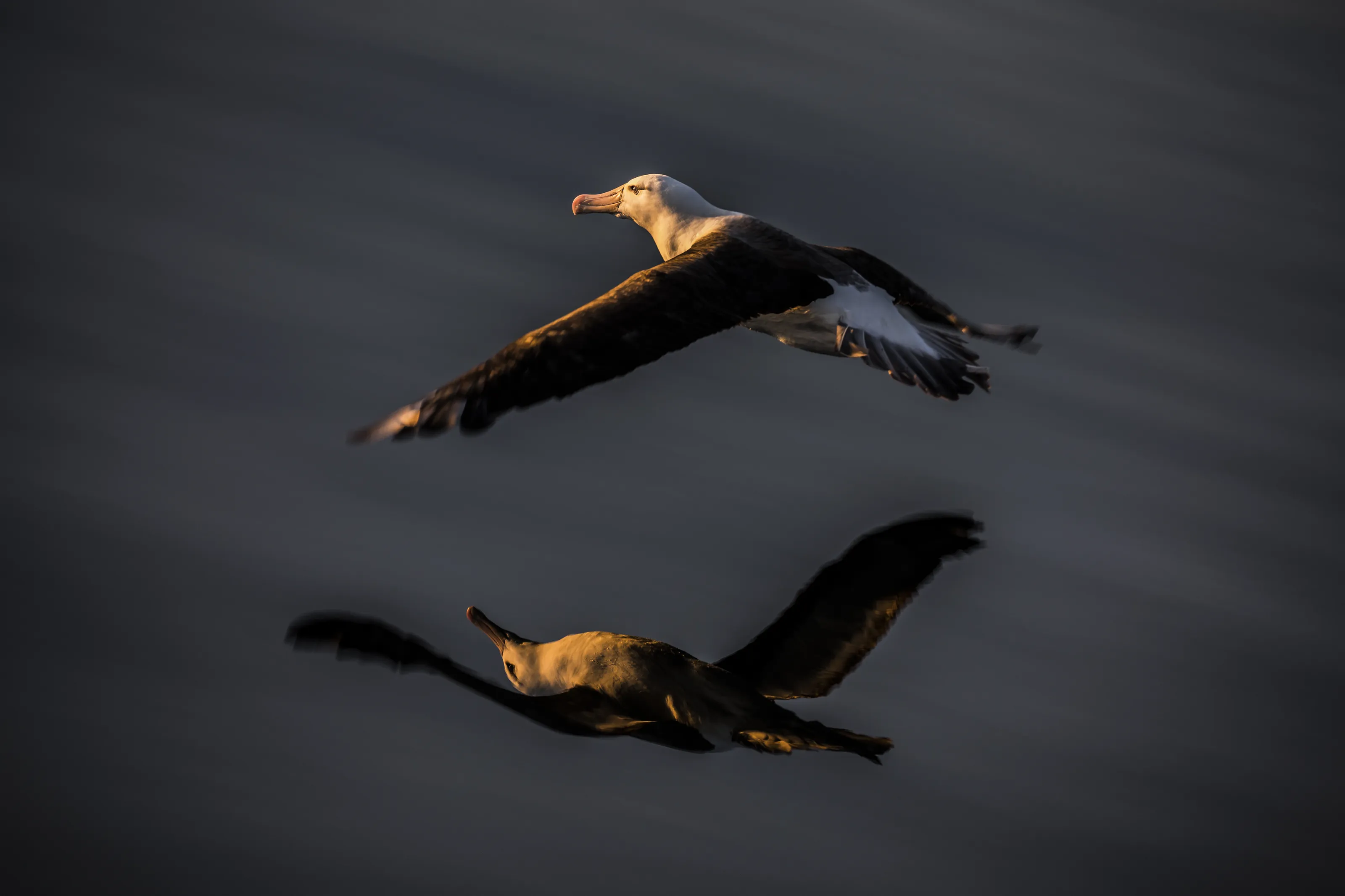 Reflections on the Beagle Channel