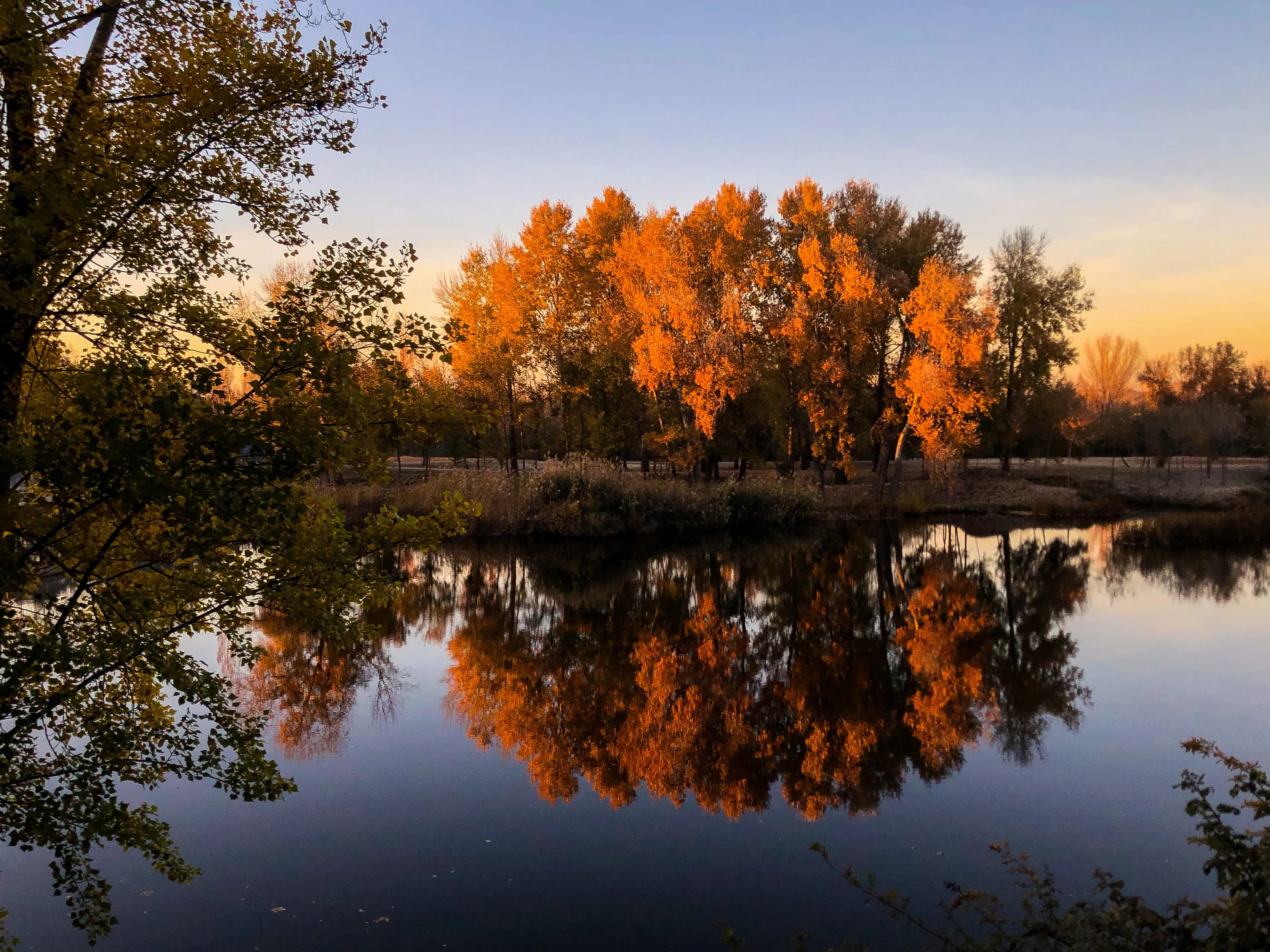 Fall view