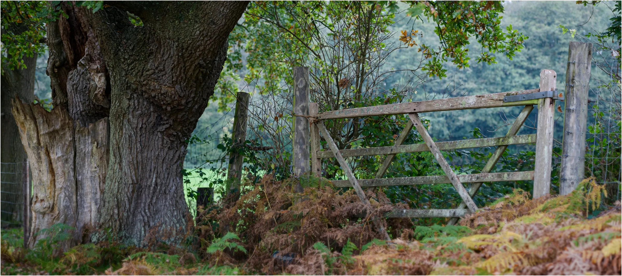 English Countryside
