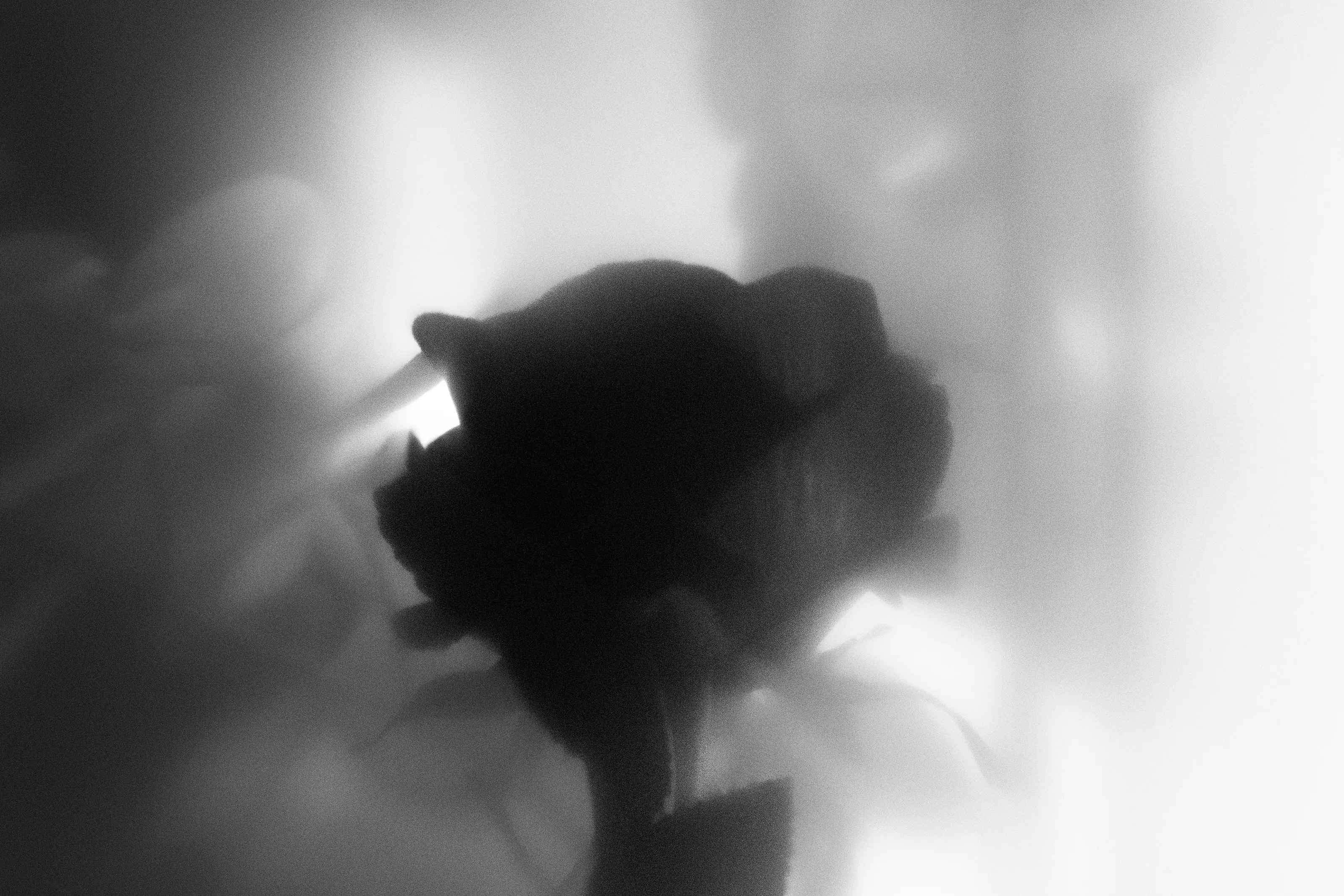 A hidden memory of a lost one