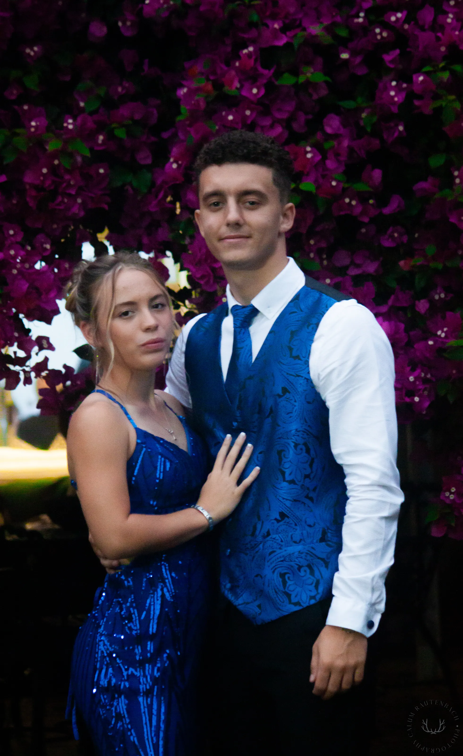 Banner image
