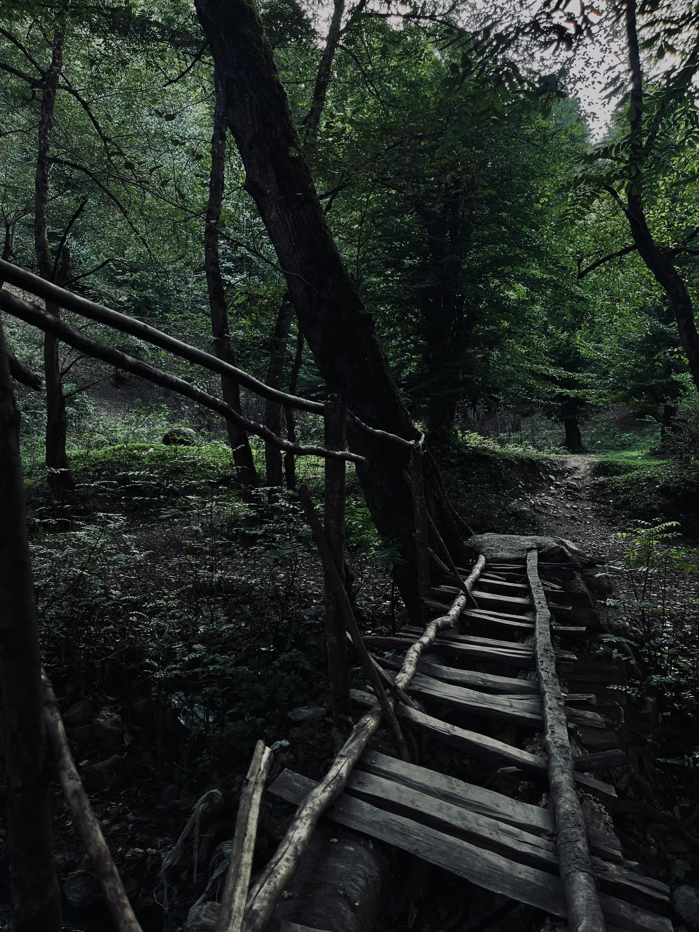The bridge connecting two worlds
