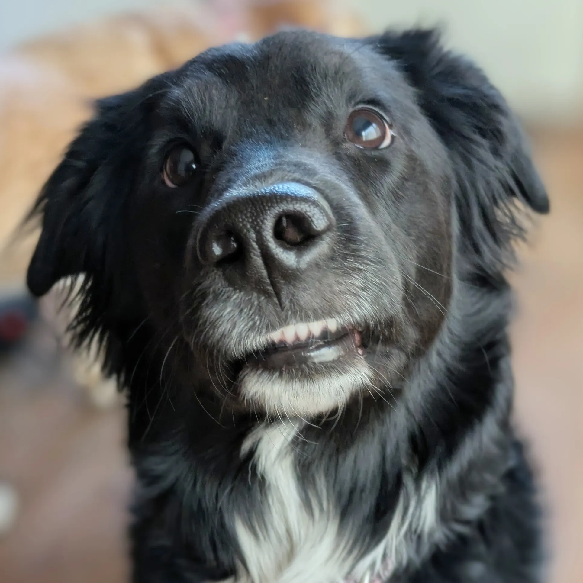 Luna smiles