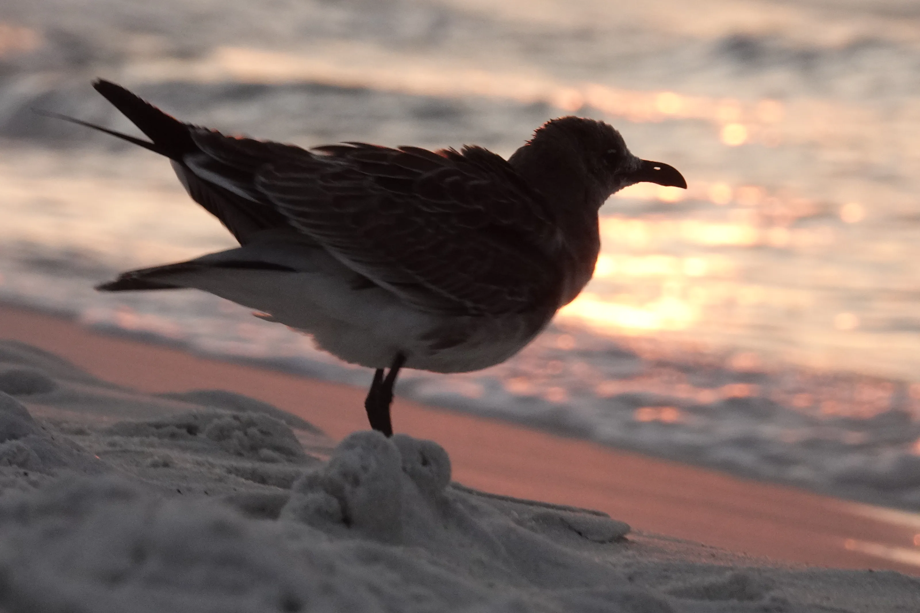 Sunrise on the Beach