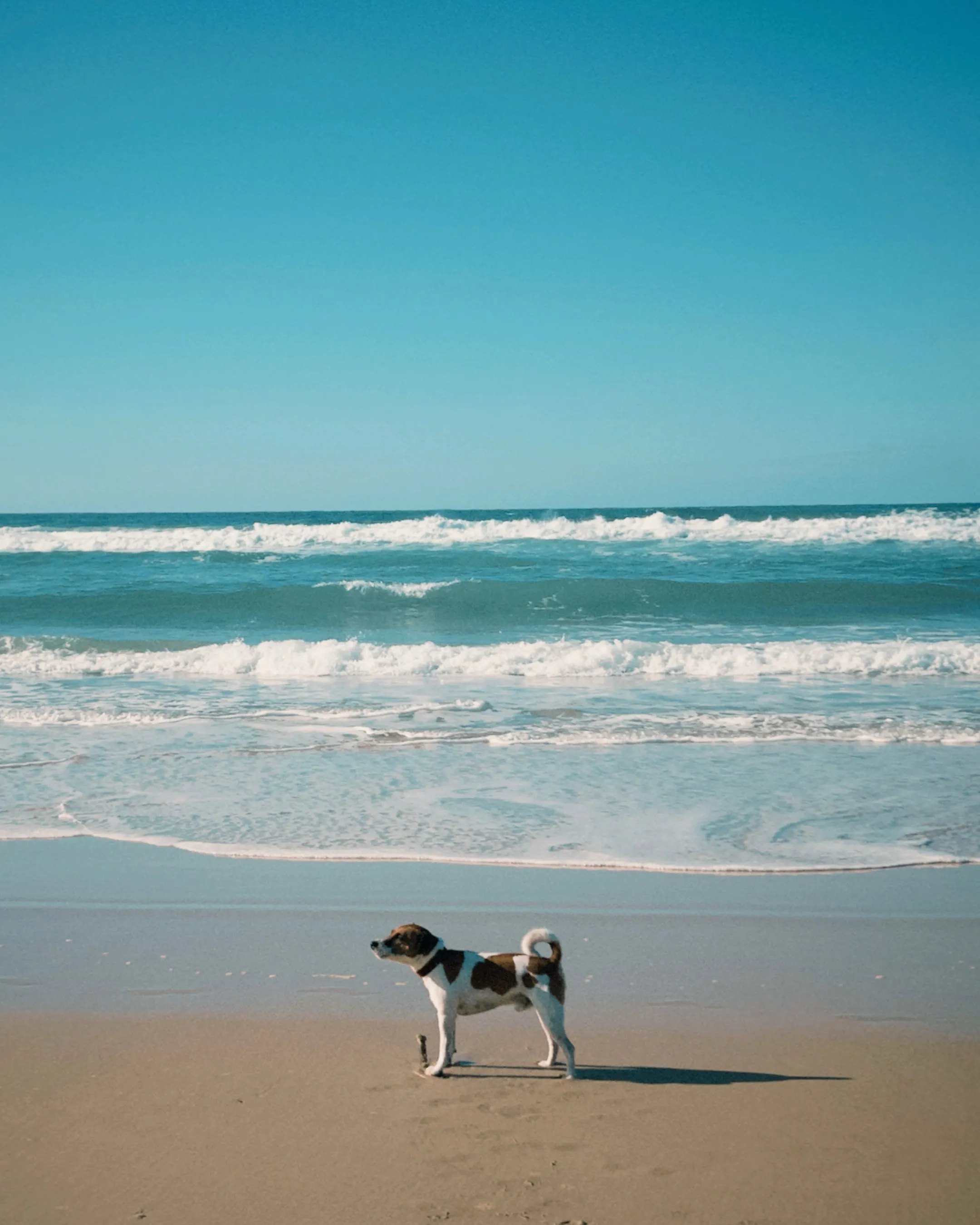 Beach Day Bliss