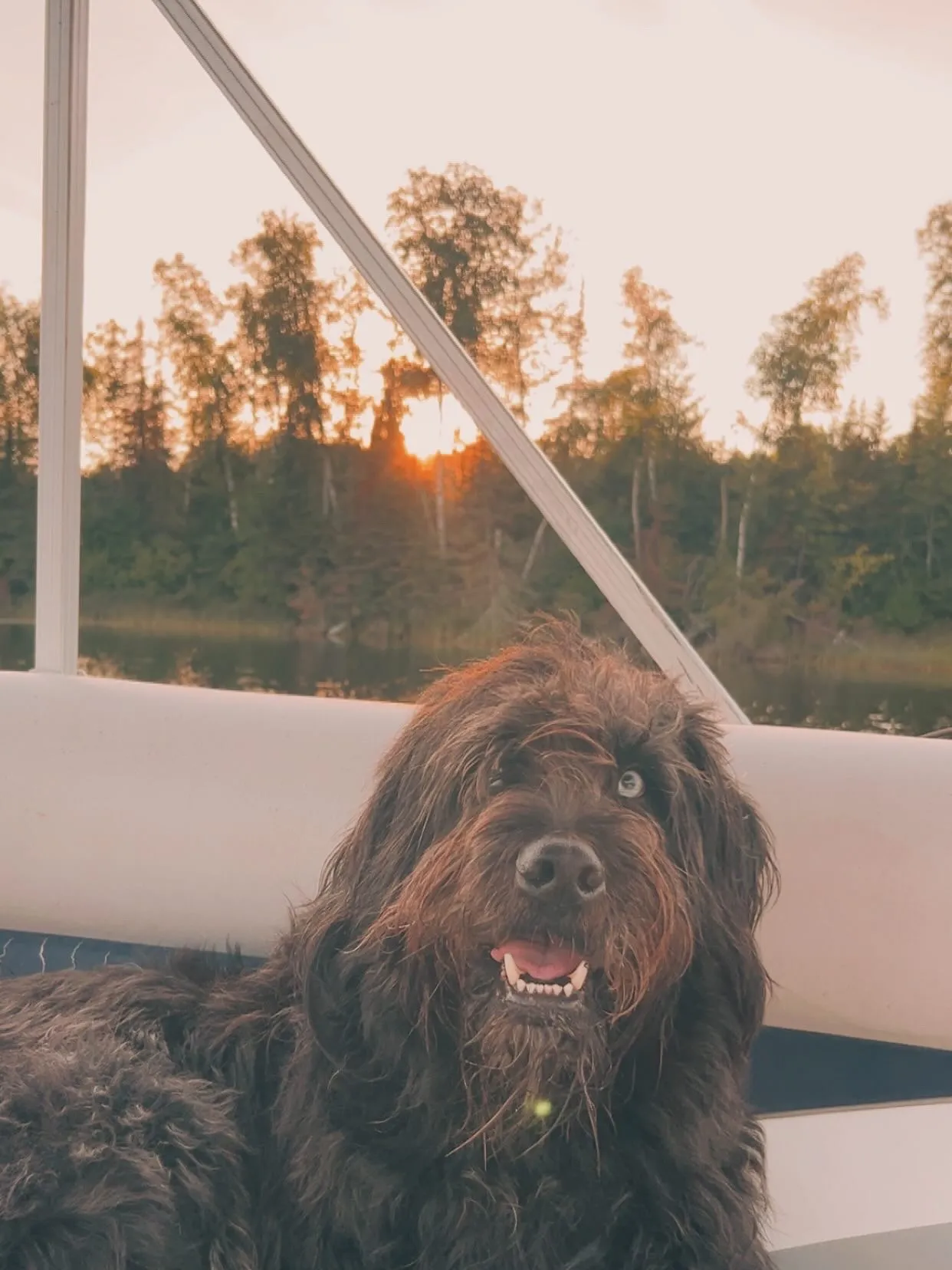 Banner image