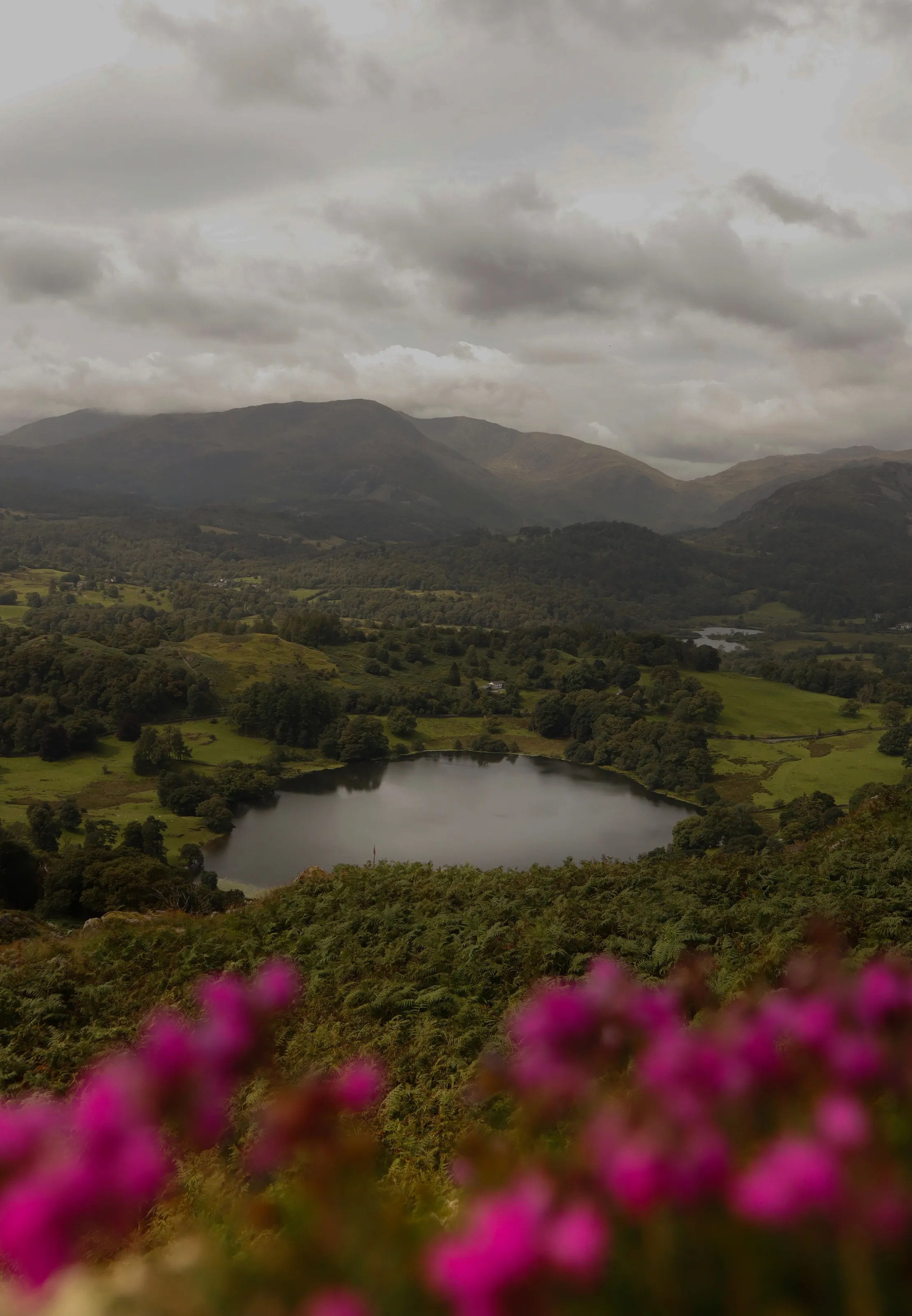 Valley outlook
