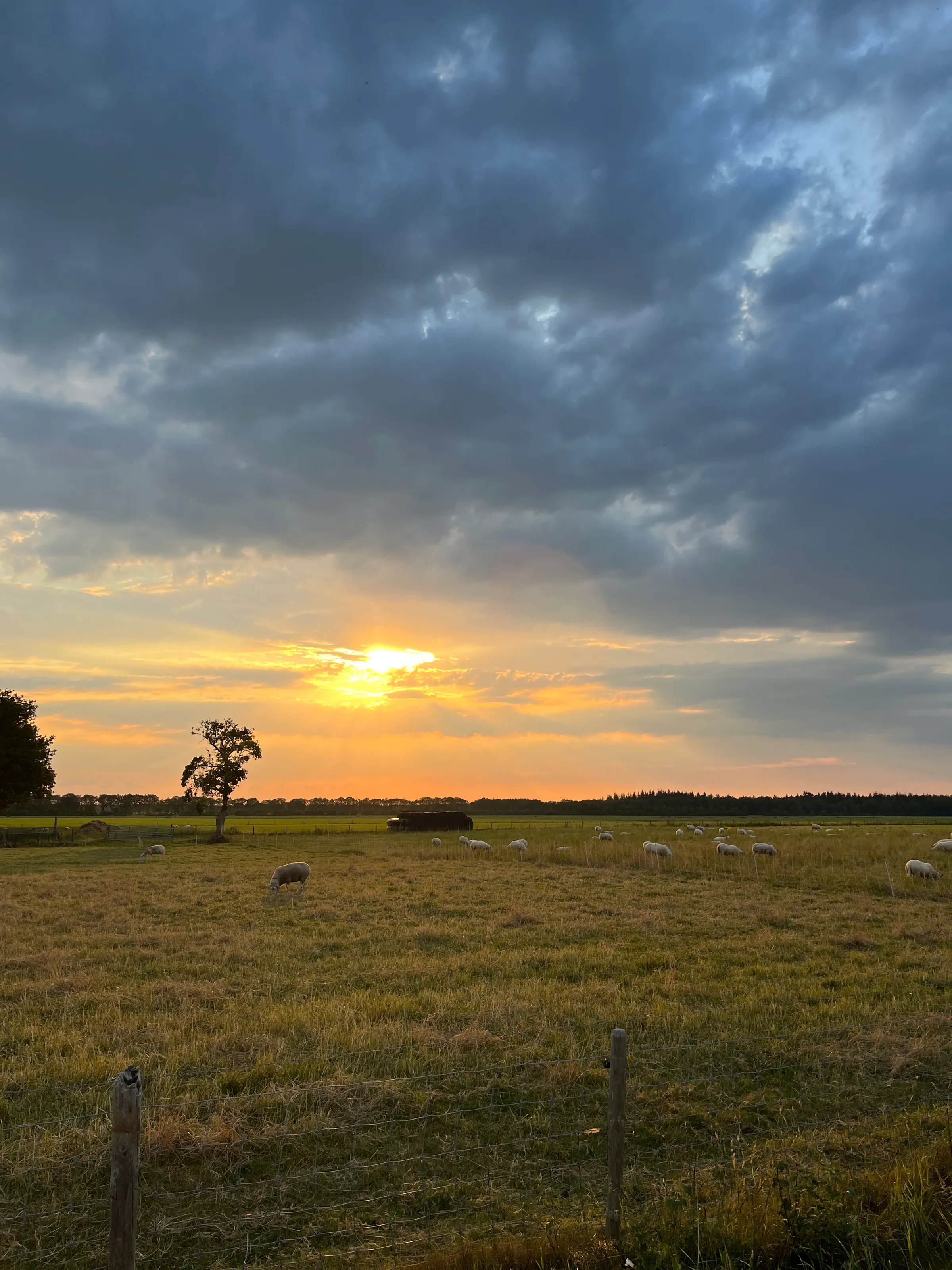 A walk in the Netherlands always brings joy with its views