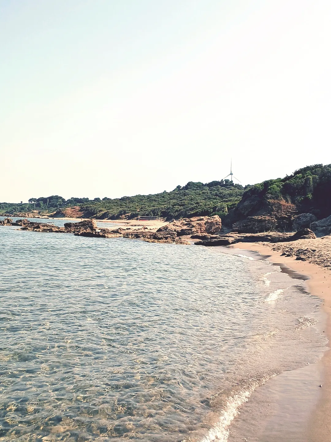 Beach landscape