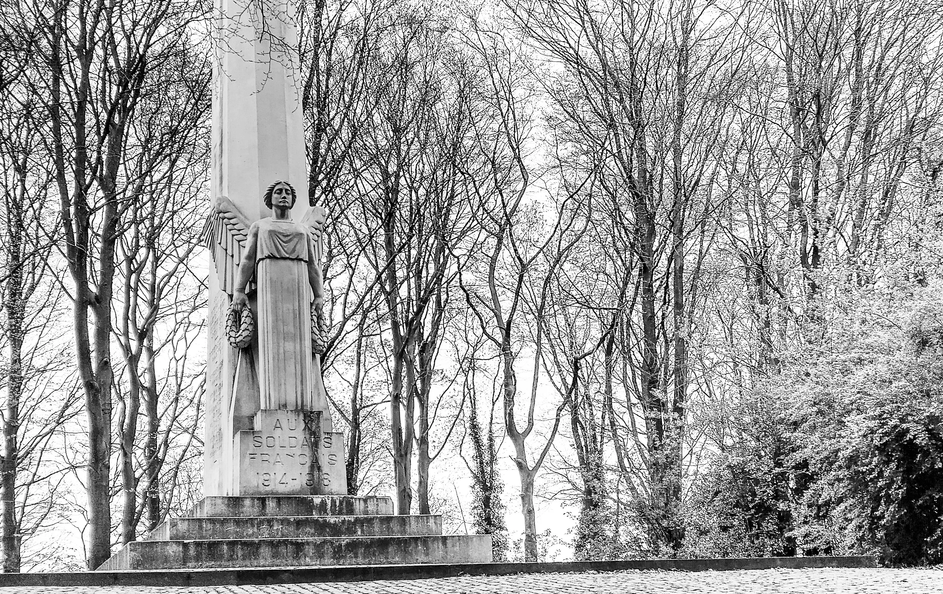 War Memorials Surrounded by Trees