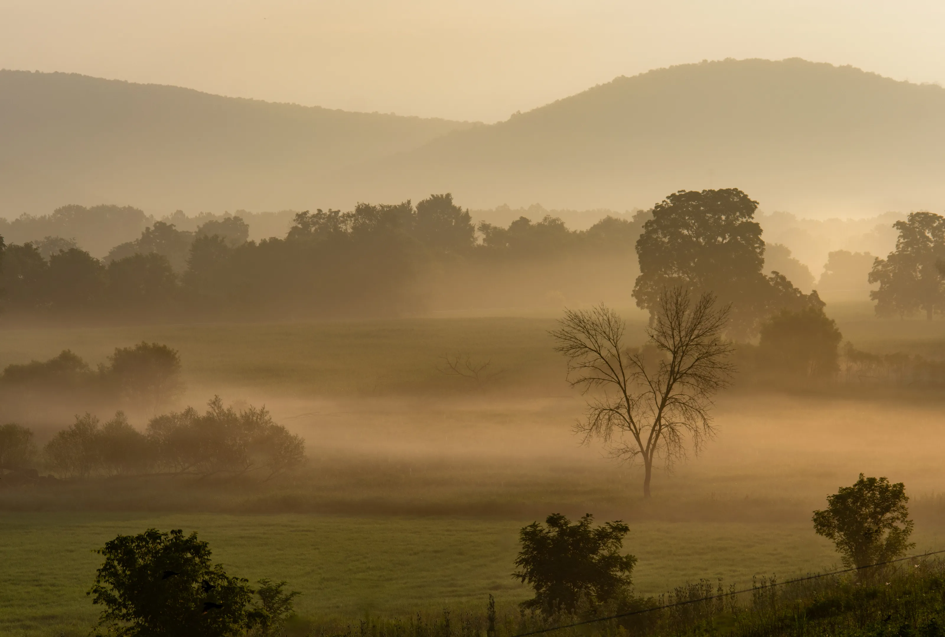 Whispers of Dawn