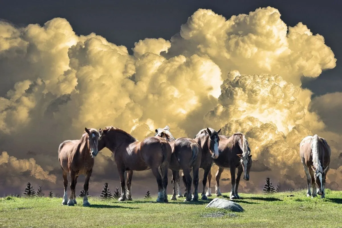 Storm on horizon