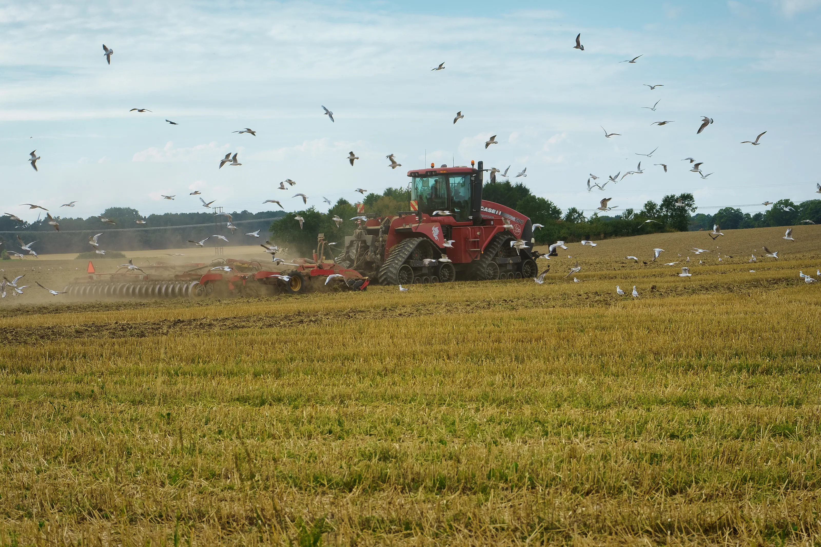 Working in Fields (in colour)