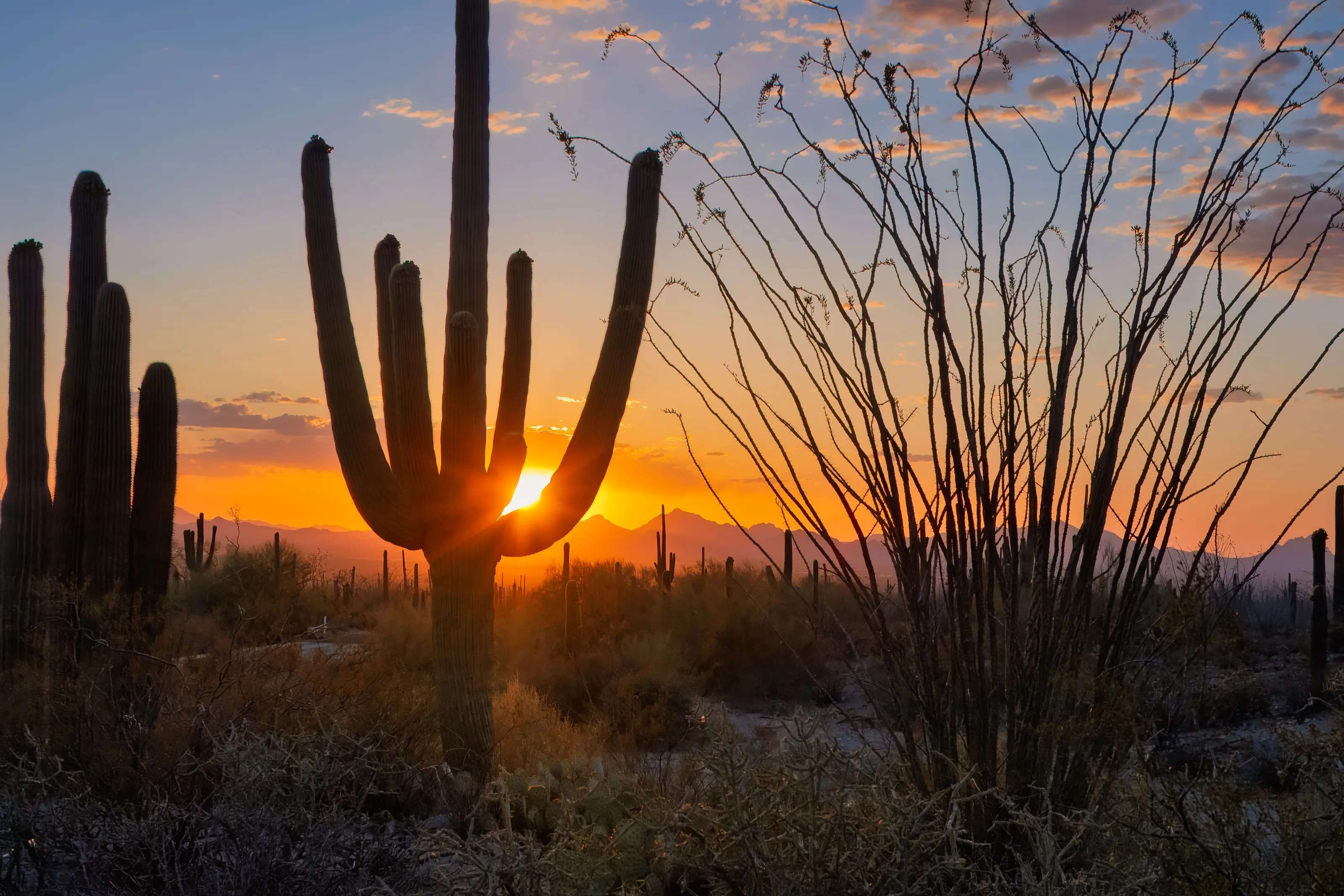 Beauty of Arizona, USA