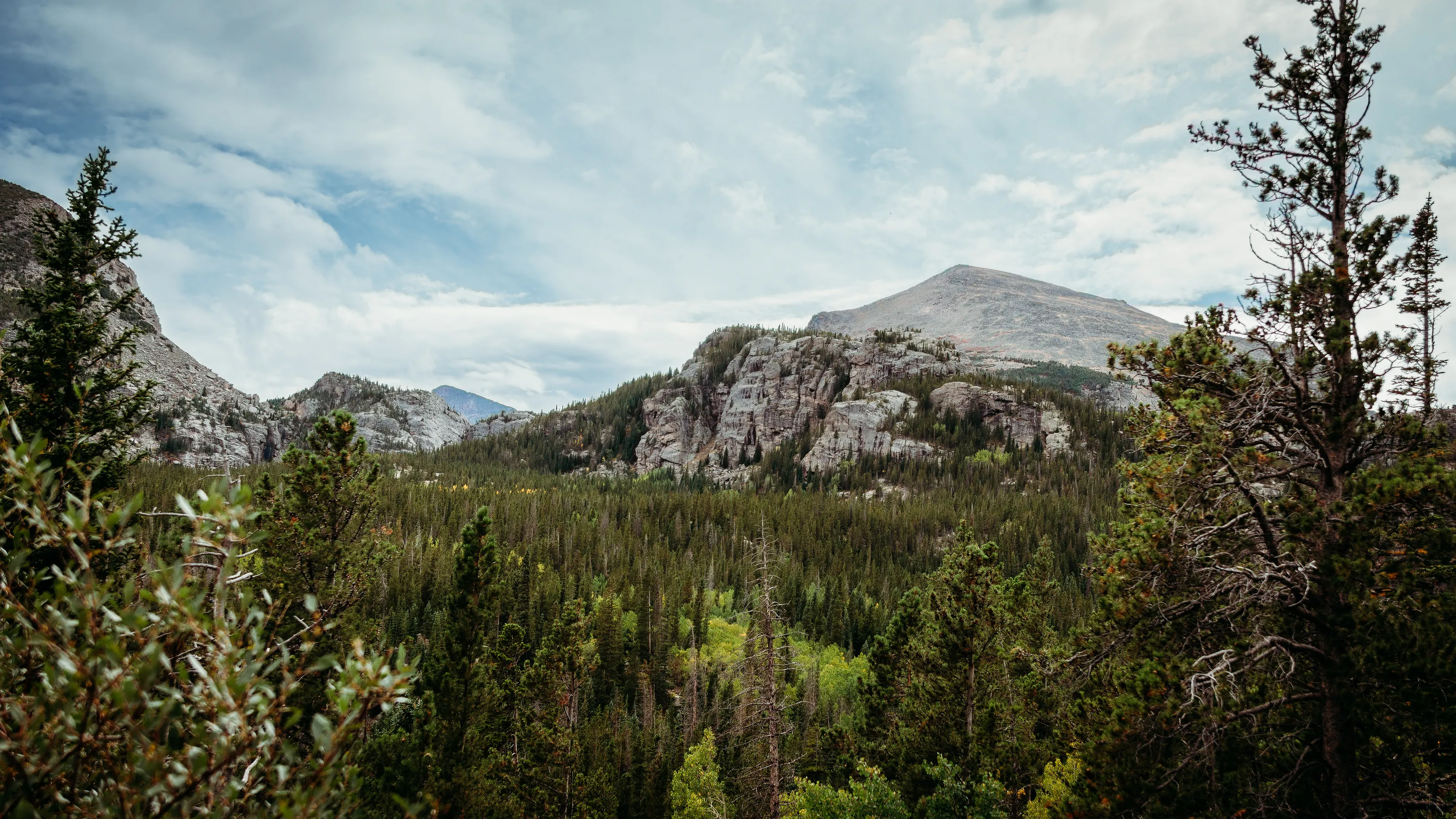 Rocky Mountain View