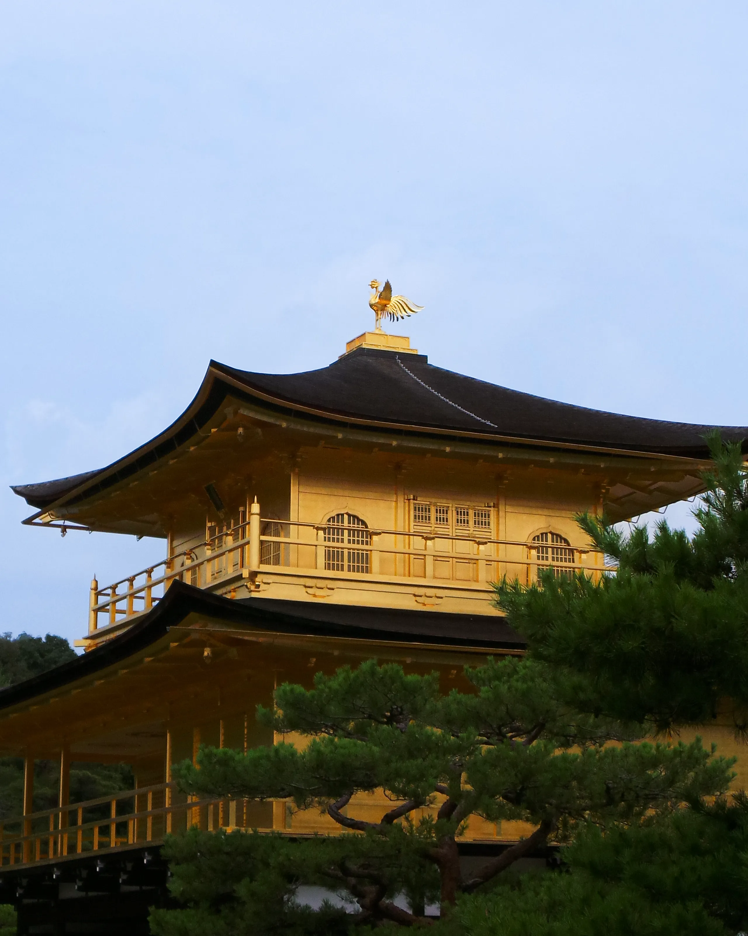 House of the Rising Sun