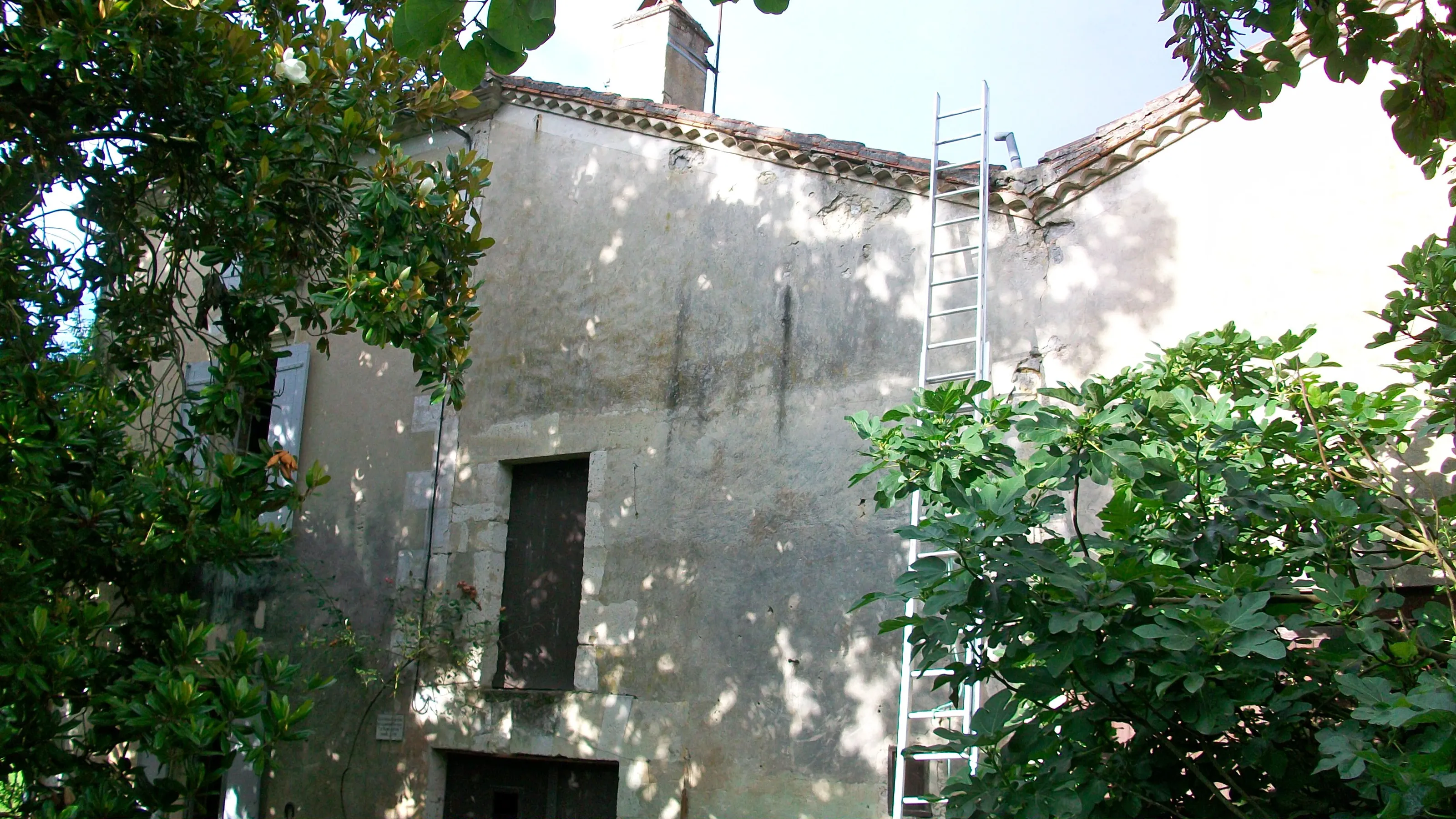 Grange and Ladder in Summertime