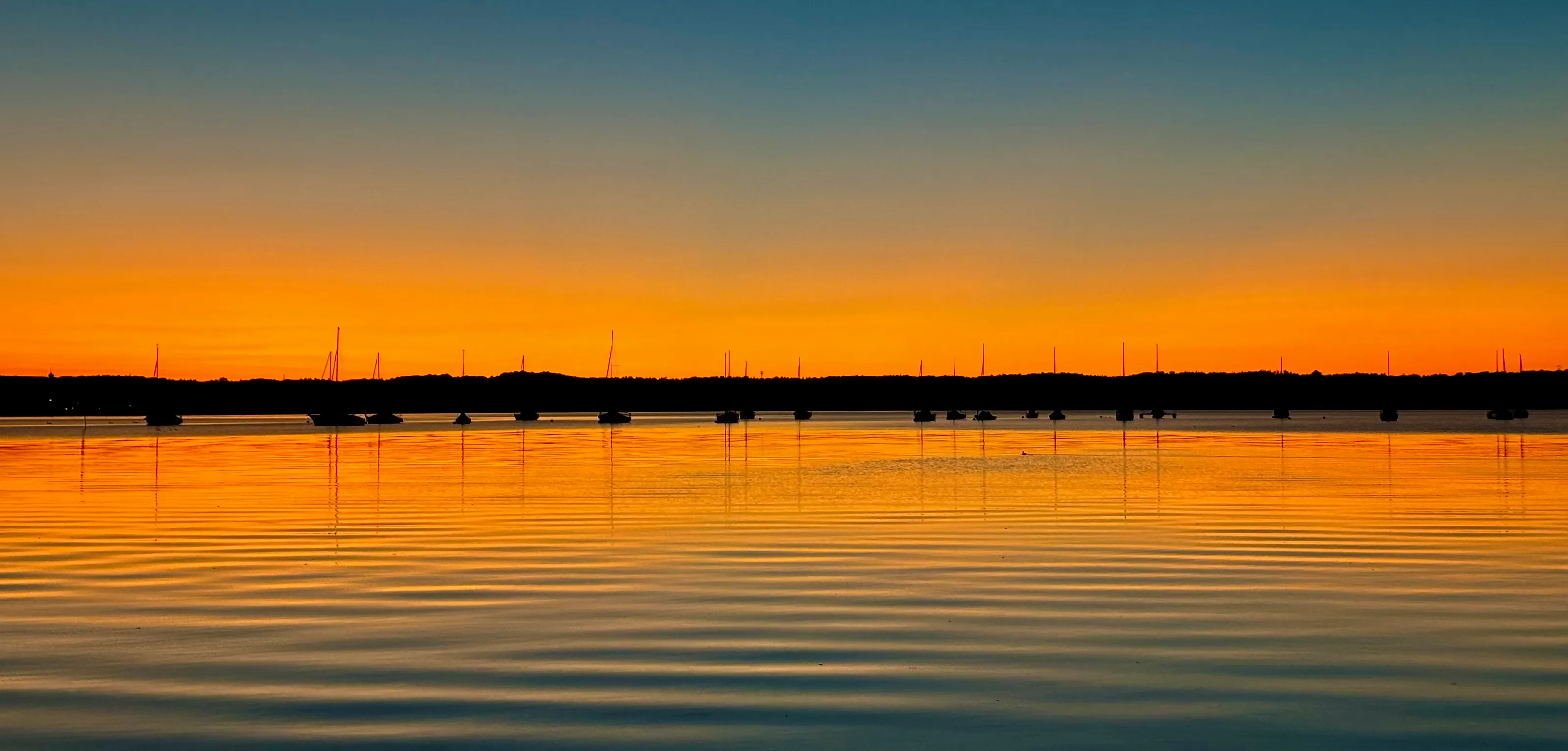 Golden Echoes on Still Waters