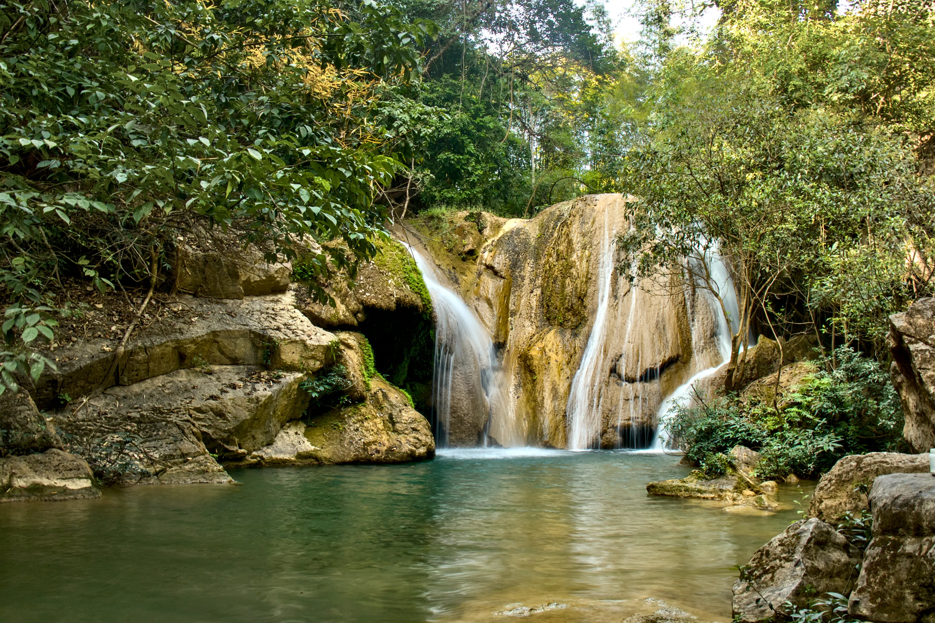 Jungle and Waterfall