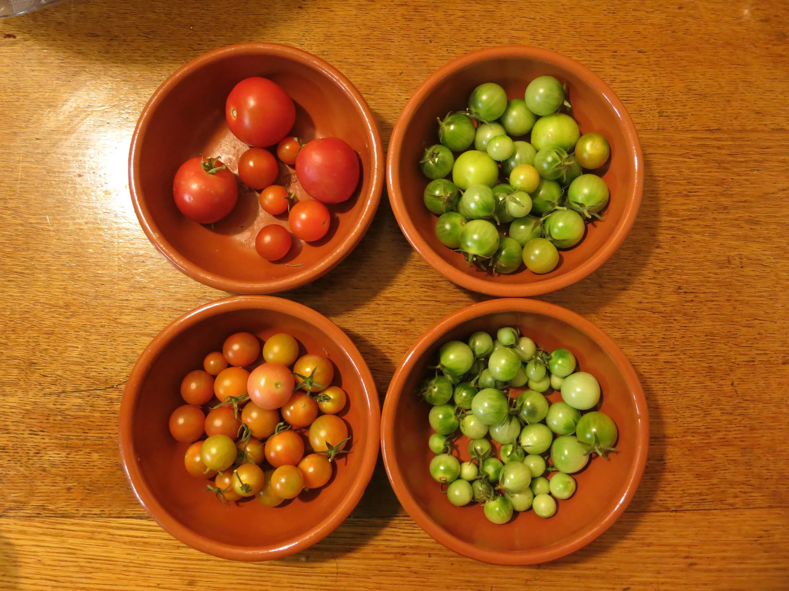 last of the tomatoes