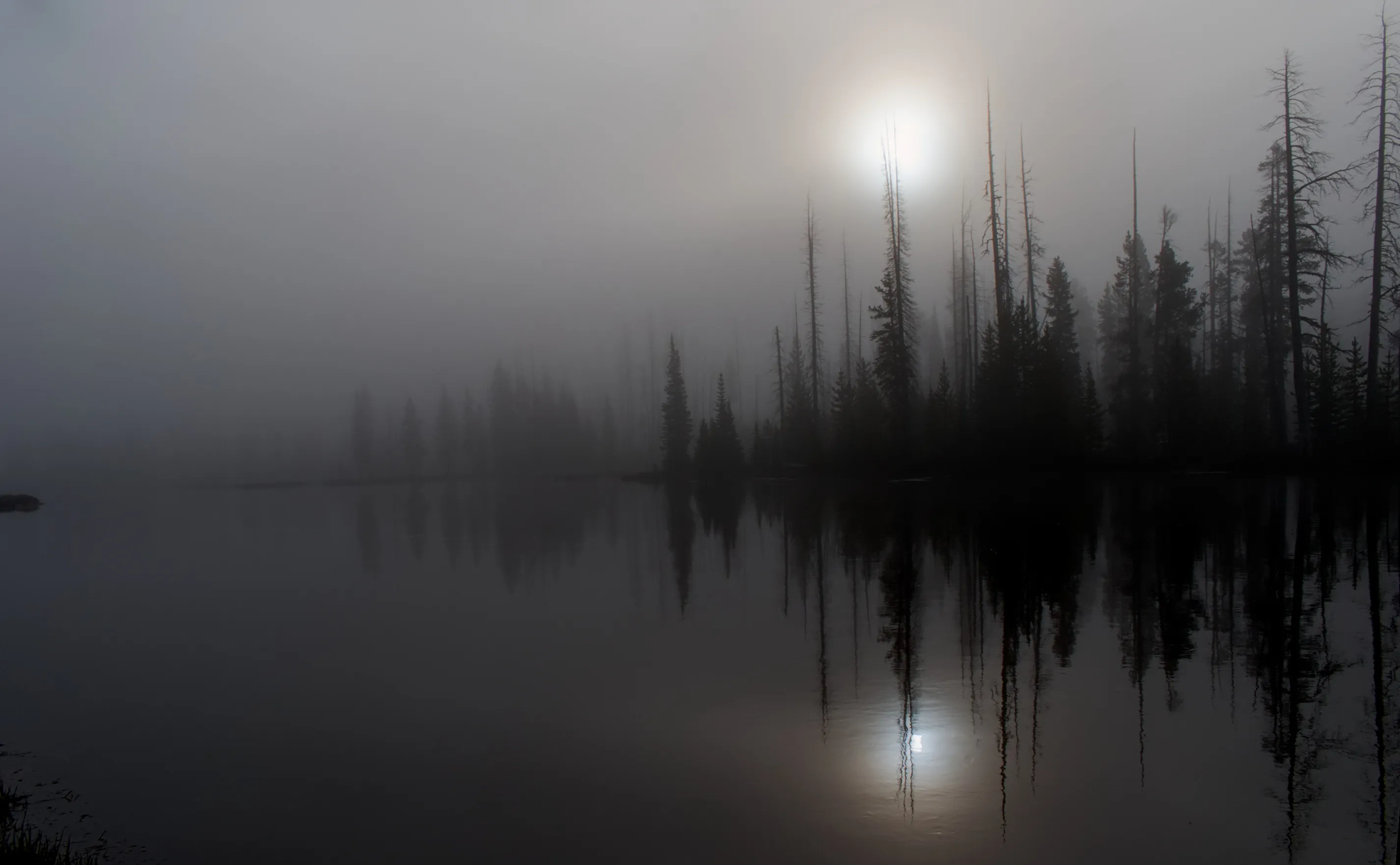 Morning Mist - Lewis River