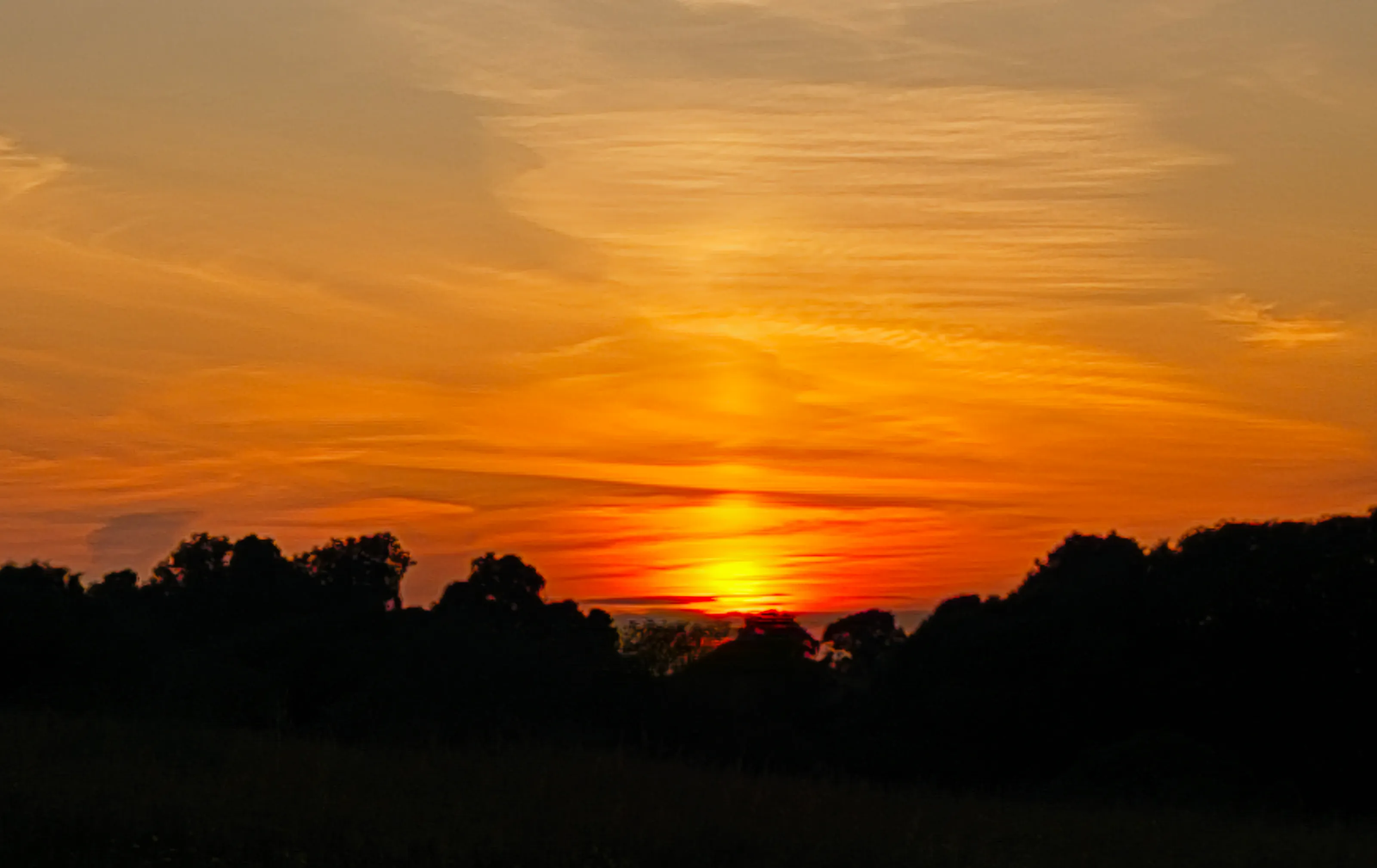 Sky on fire