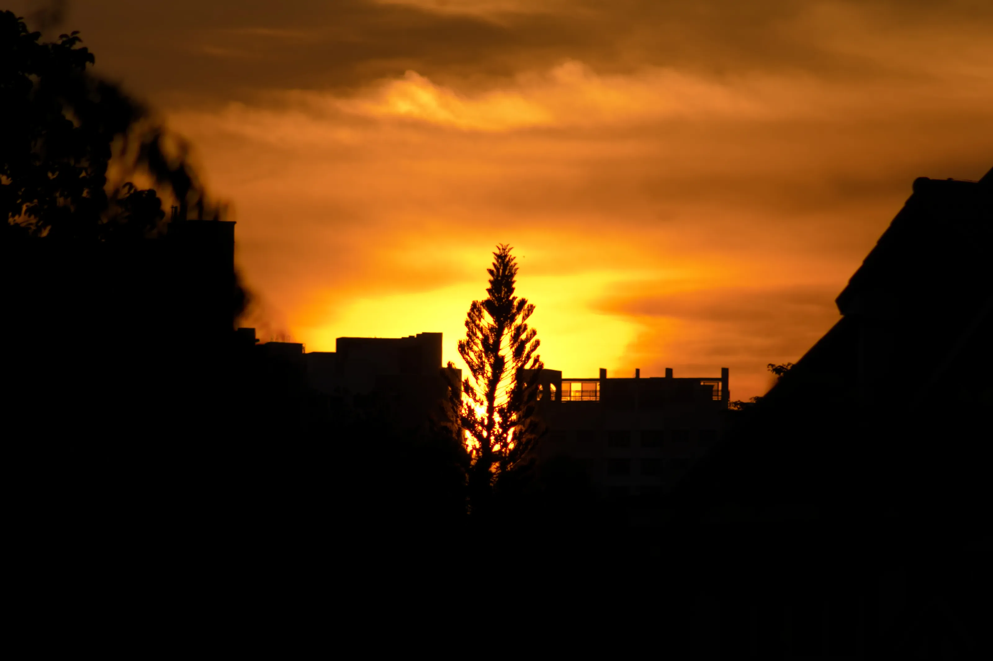 A flame at sunset
