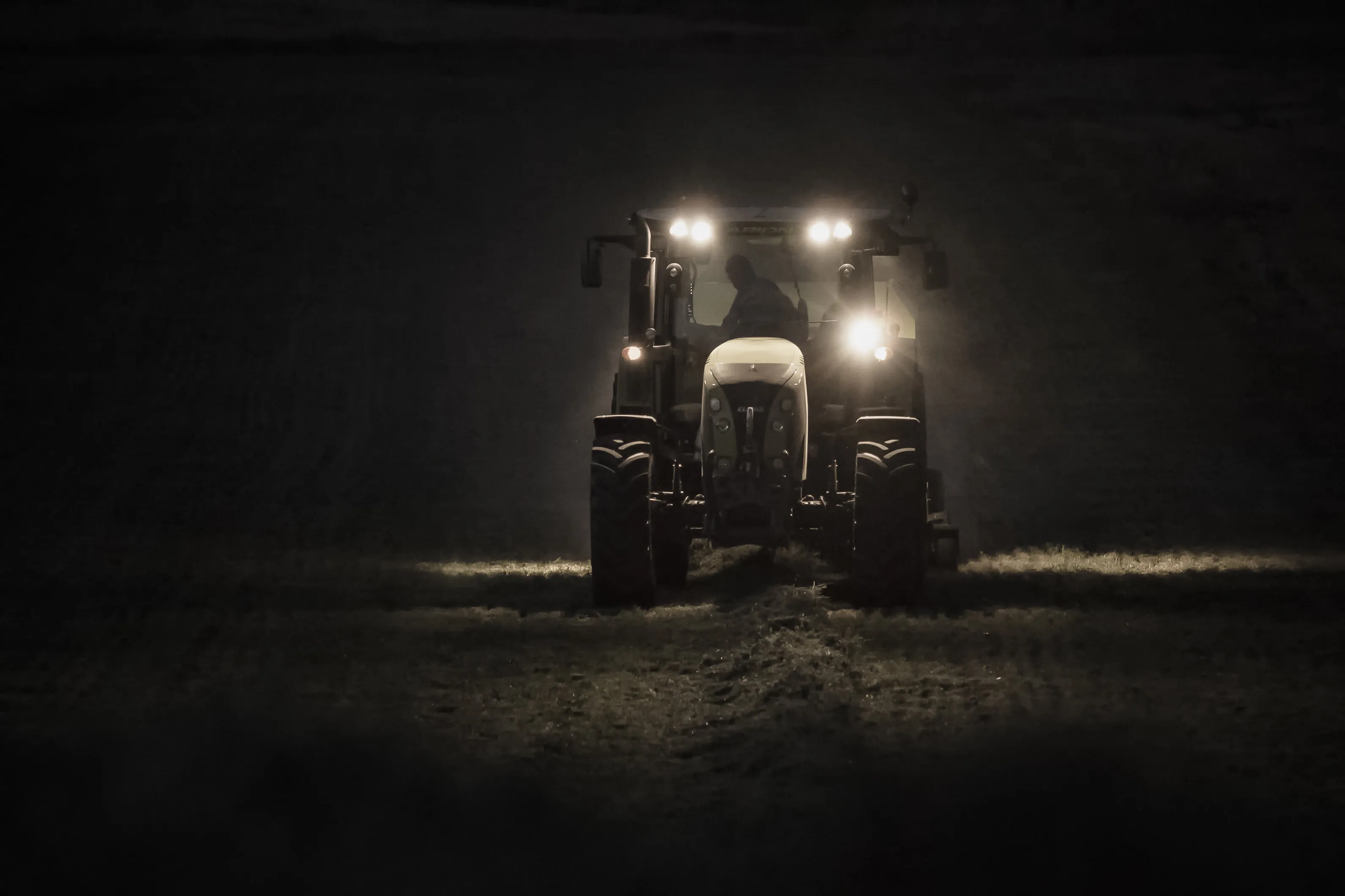 Monsters in the Night