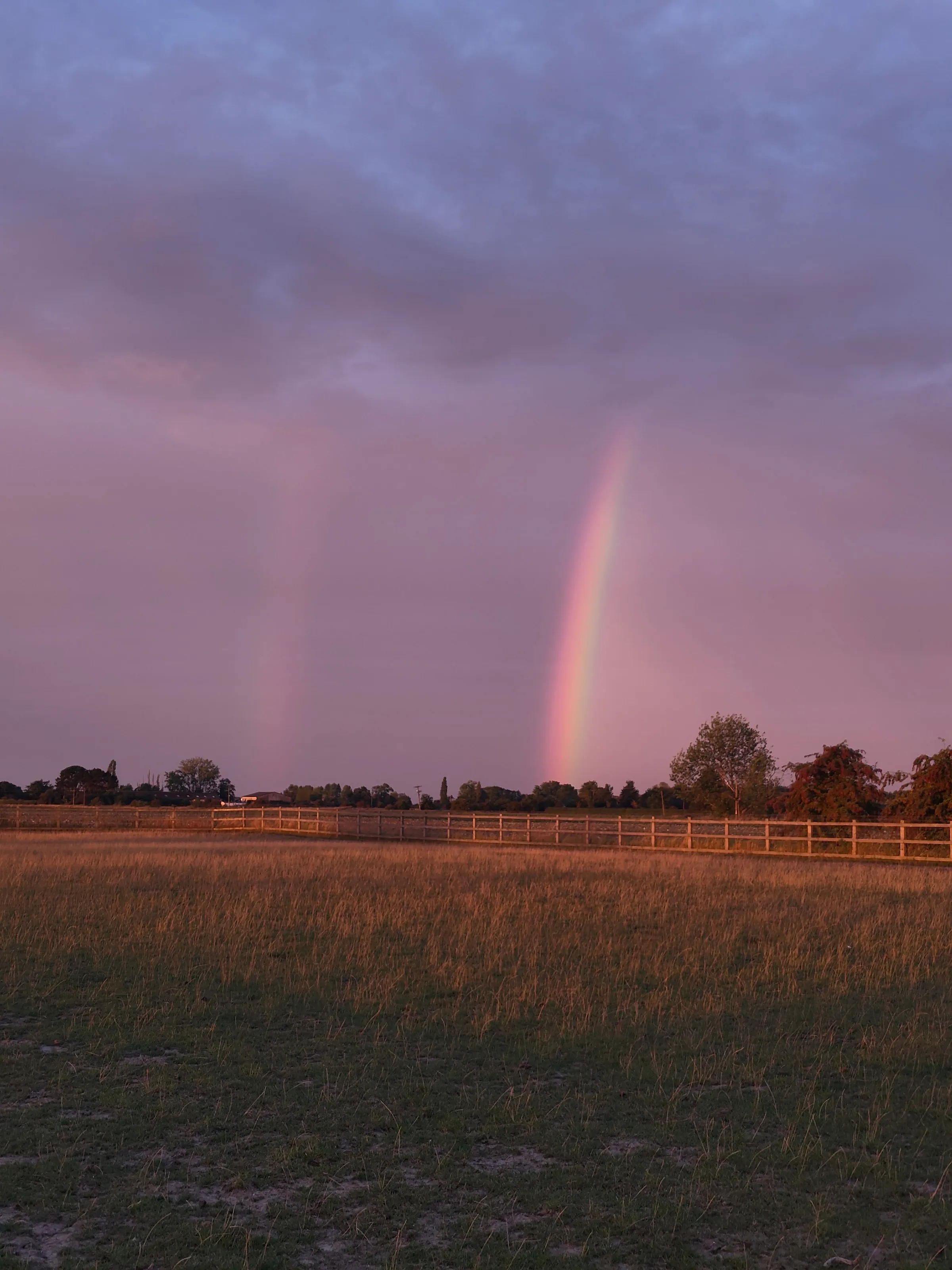 Dawn Rainbow