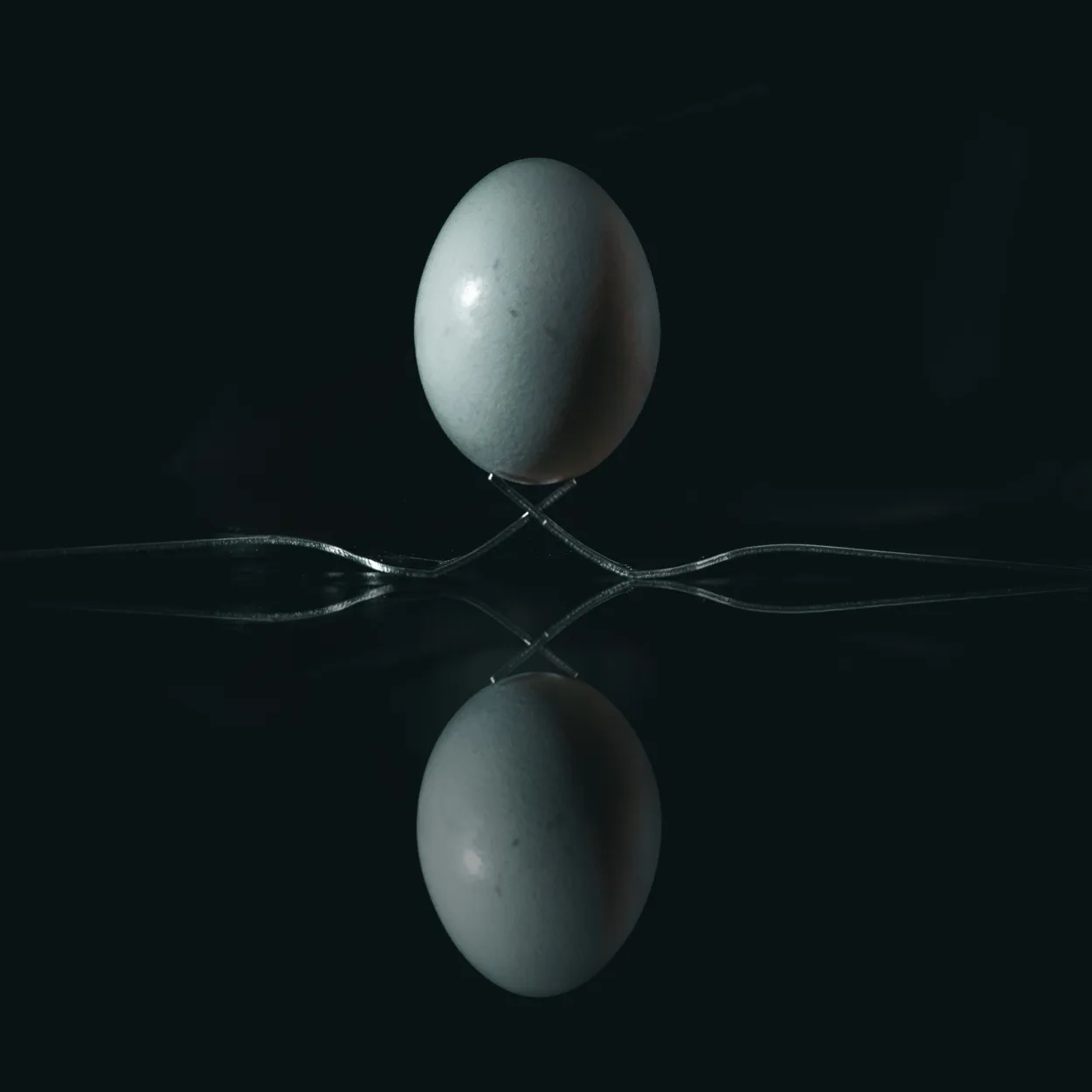 Entry 25590201
