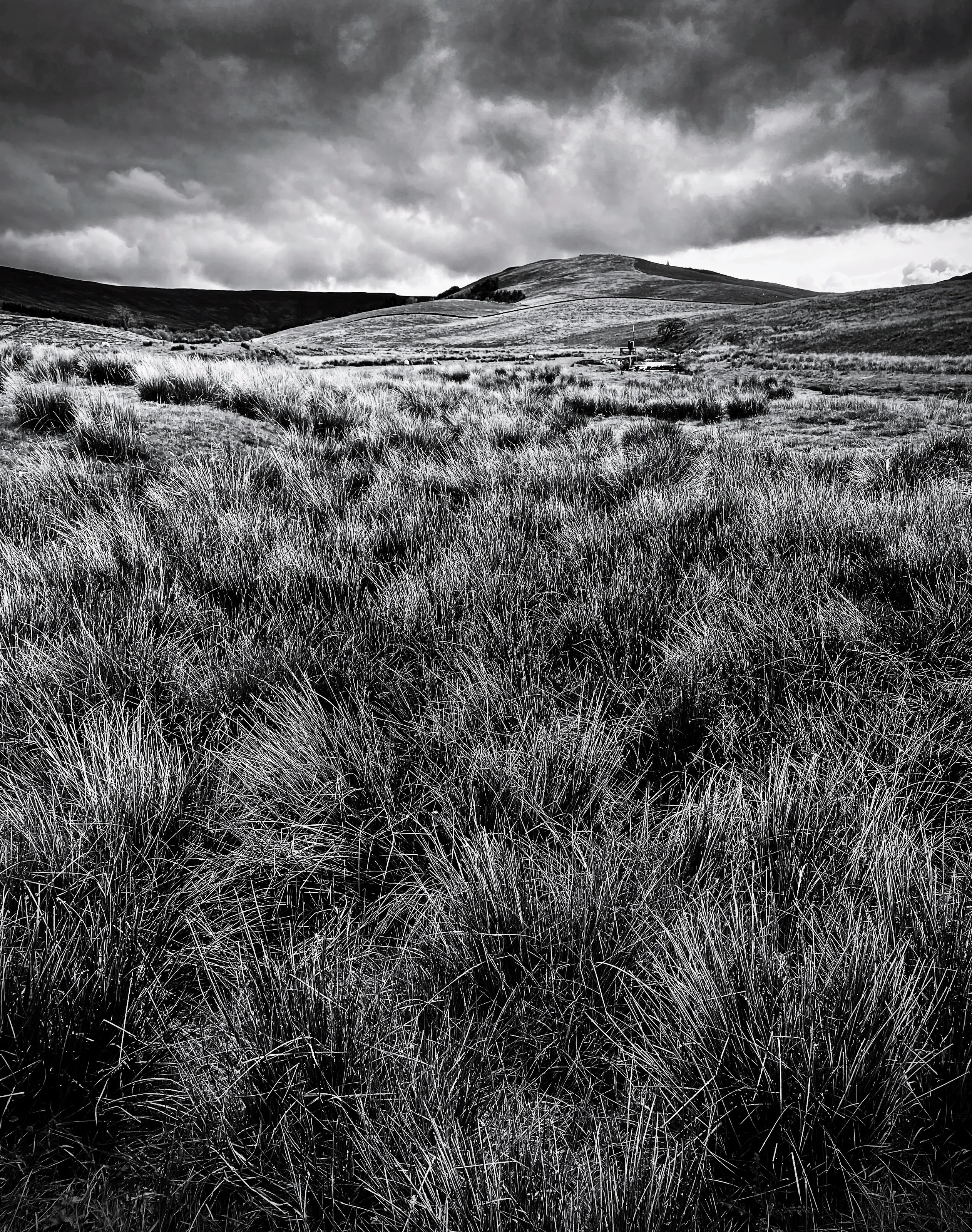DARTMOOR