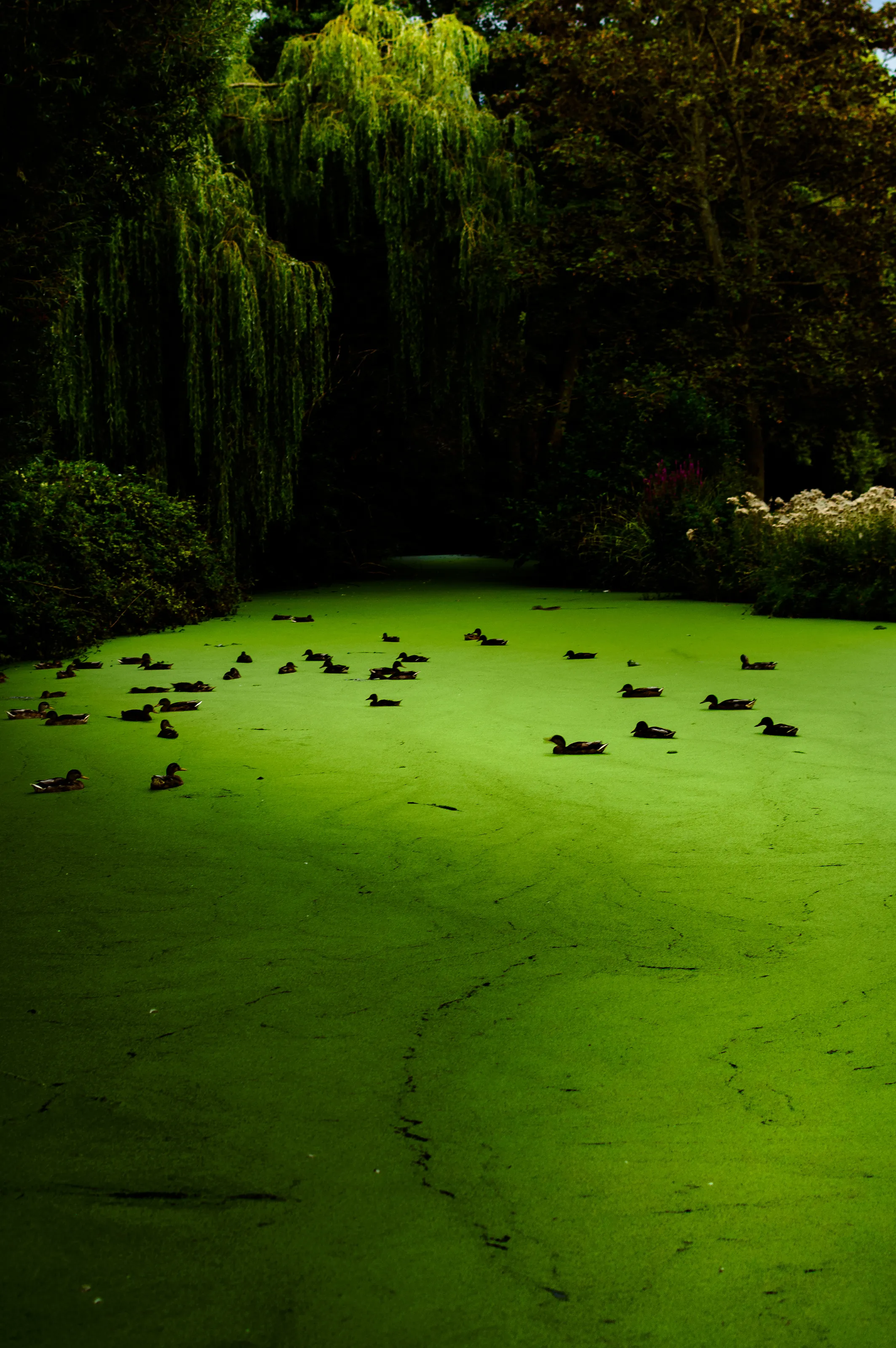 A little bit of green