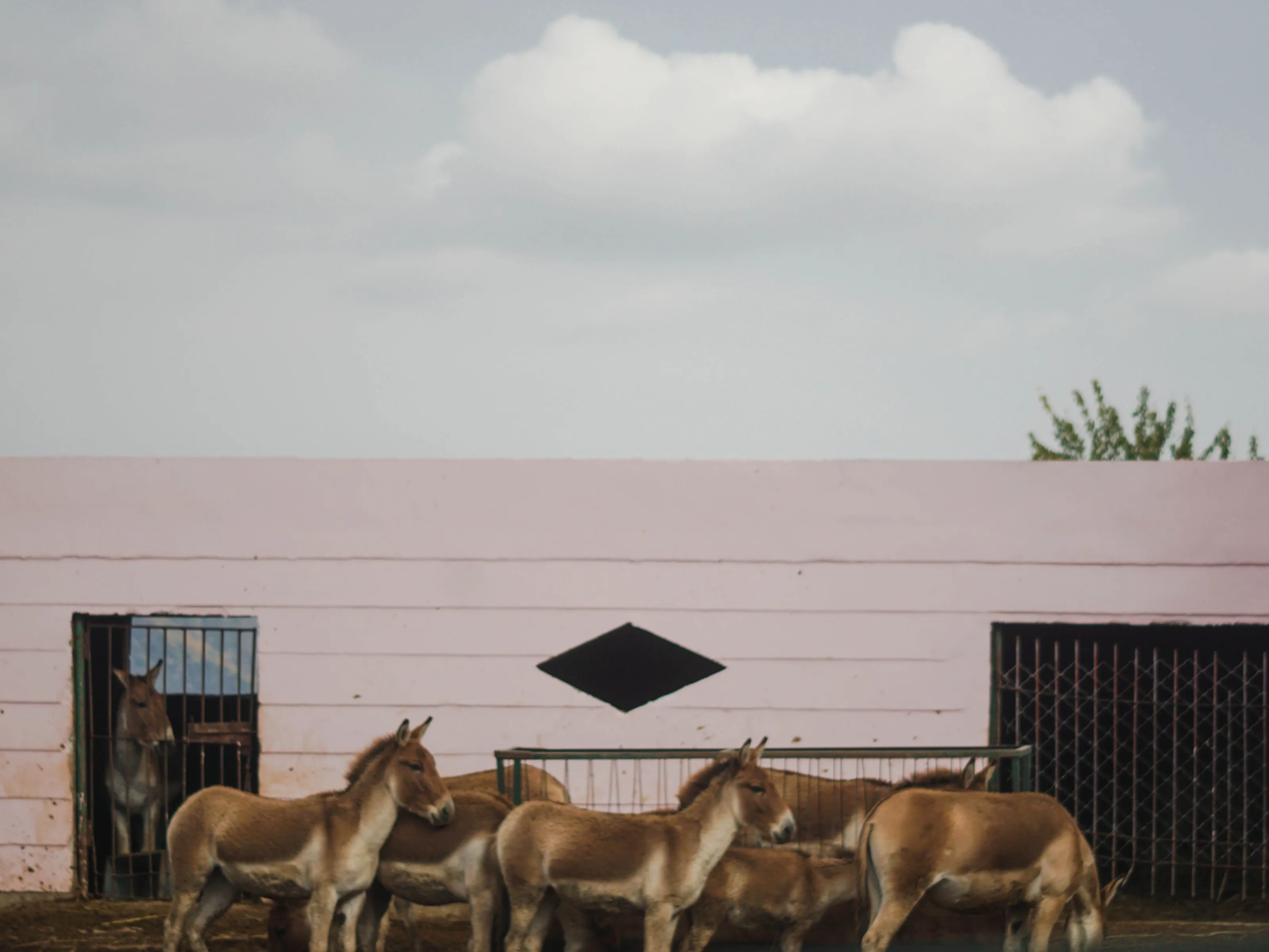 Eastern Kiang