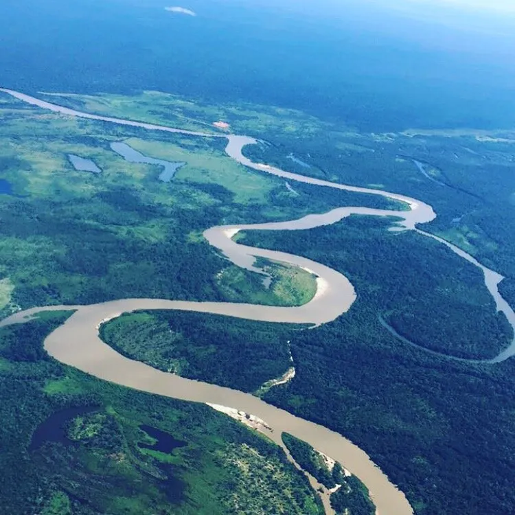 xingu