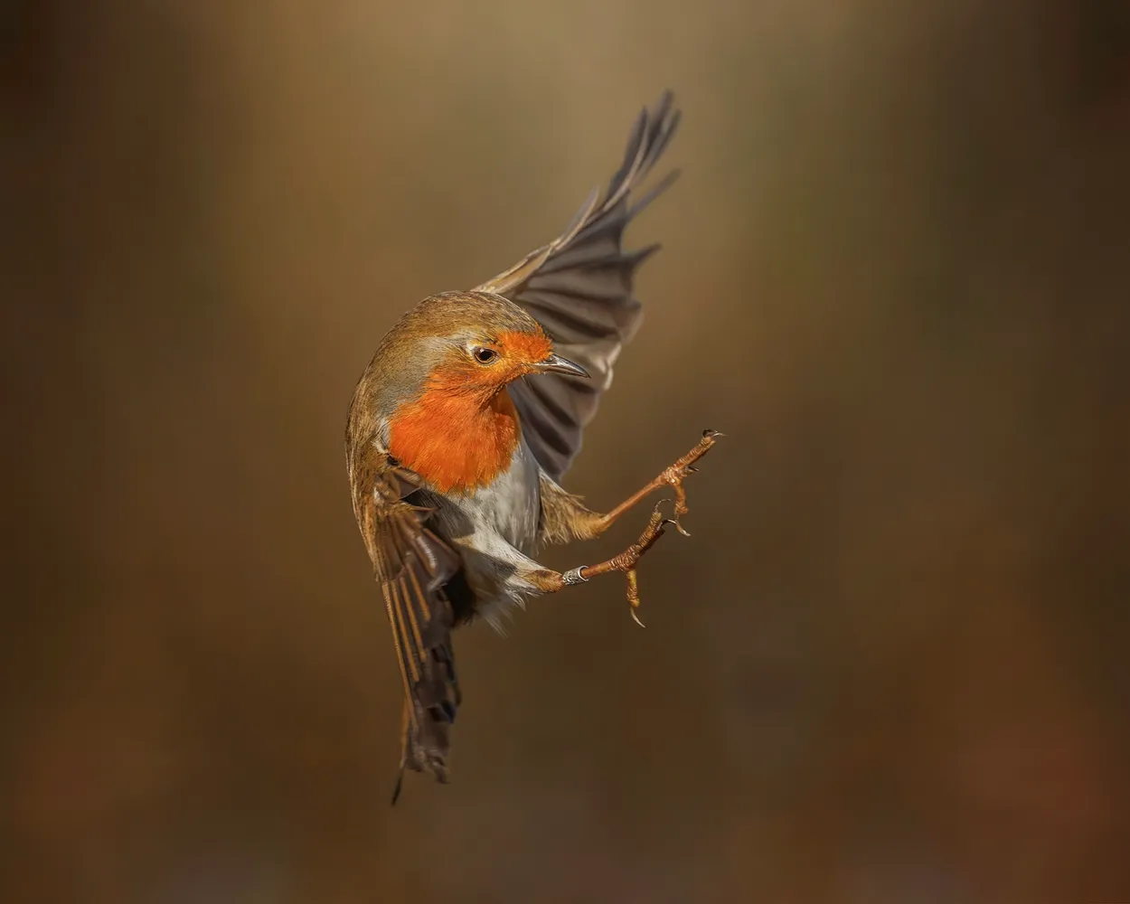 Landing gear down.
