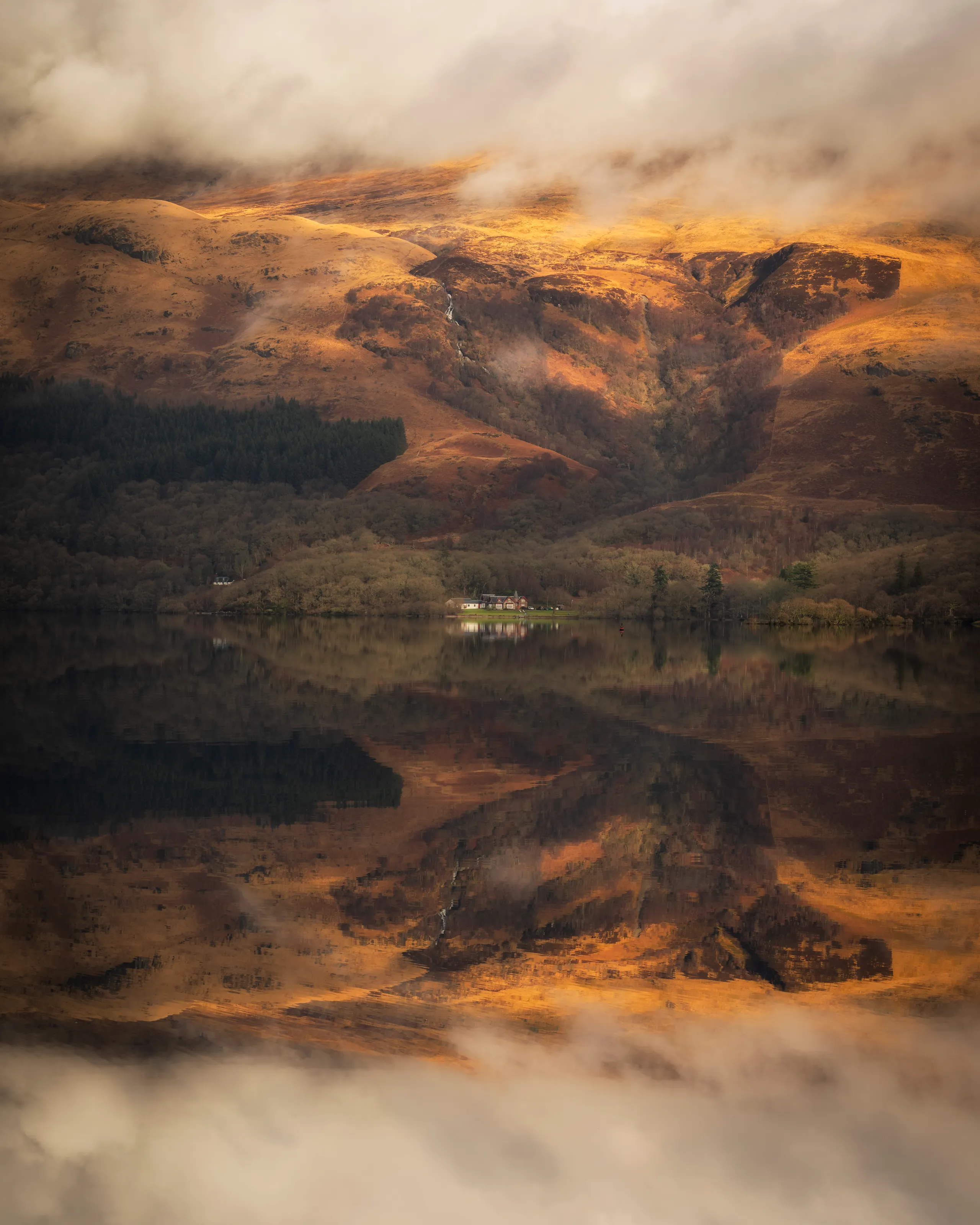 Reflection
