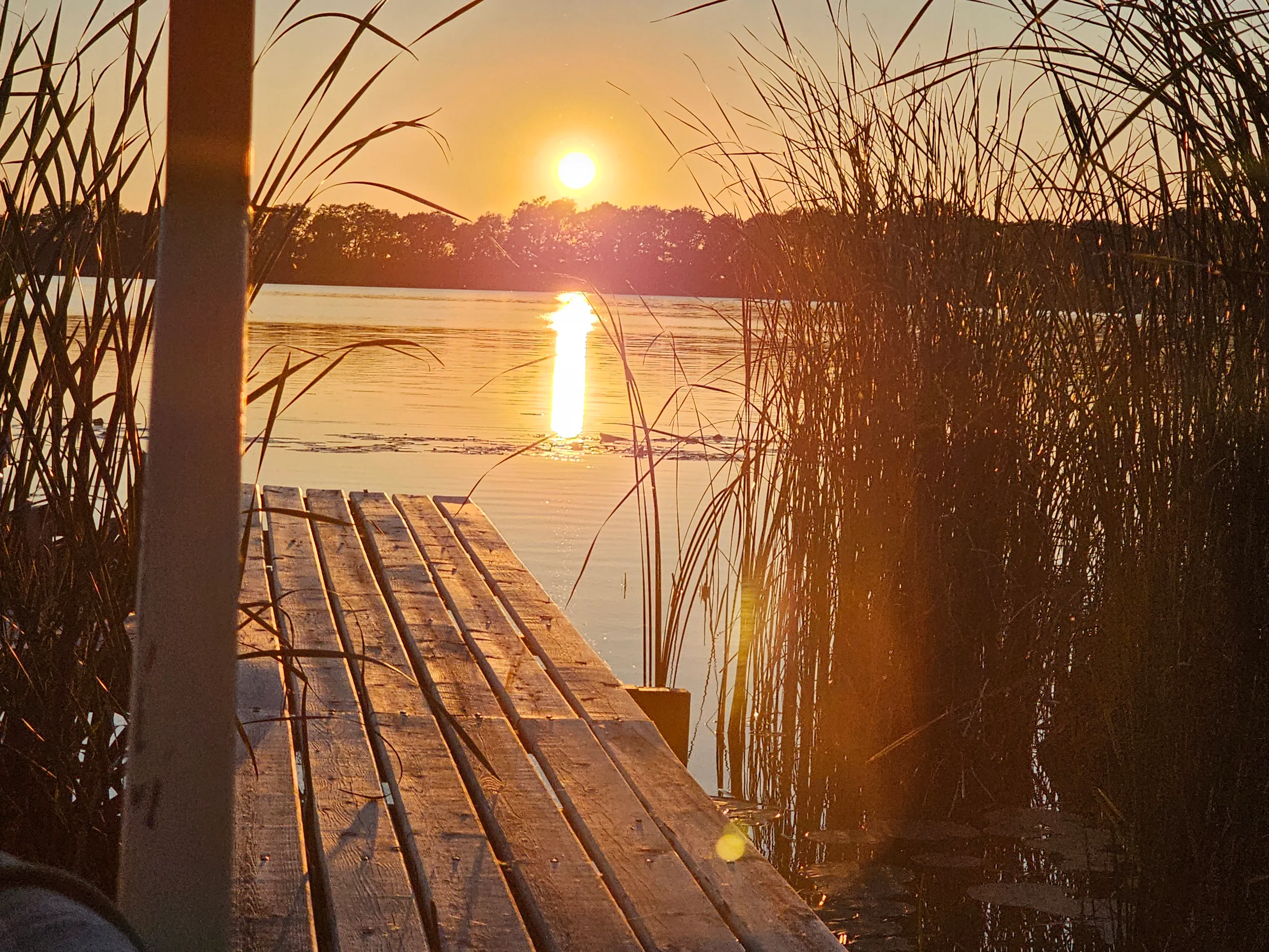Evening Glow