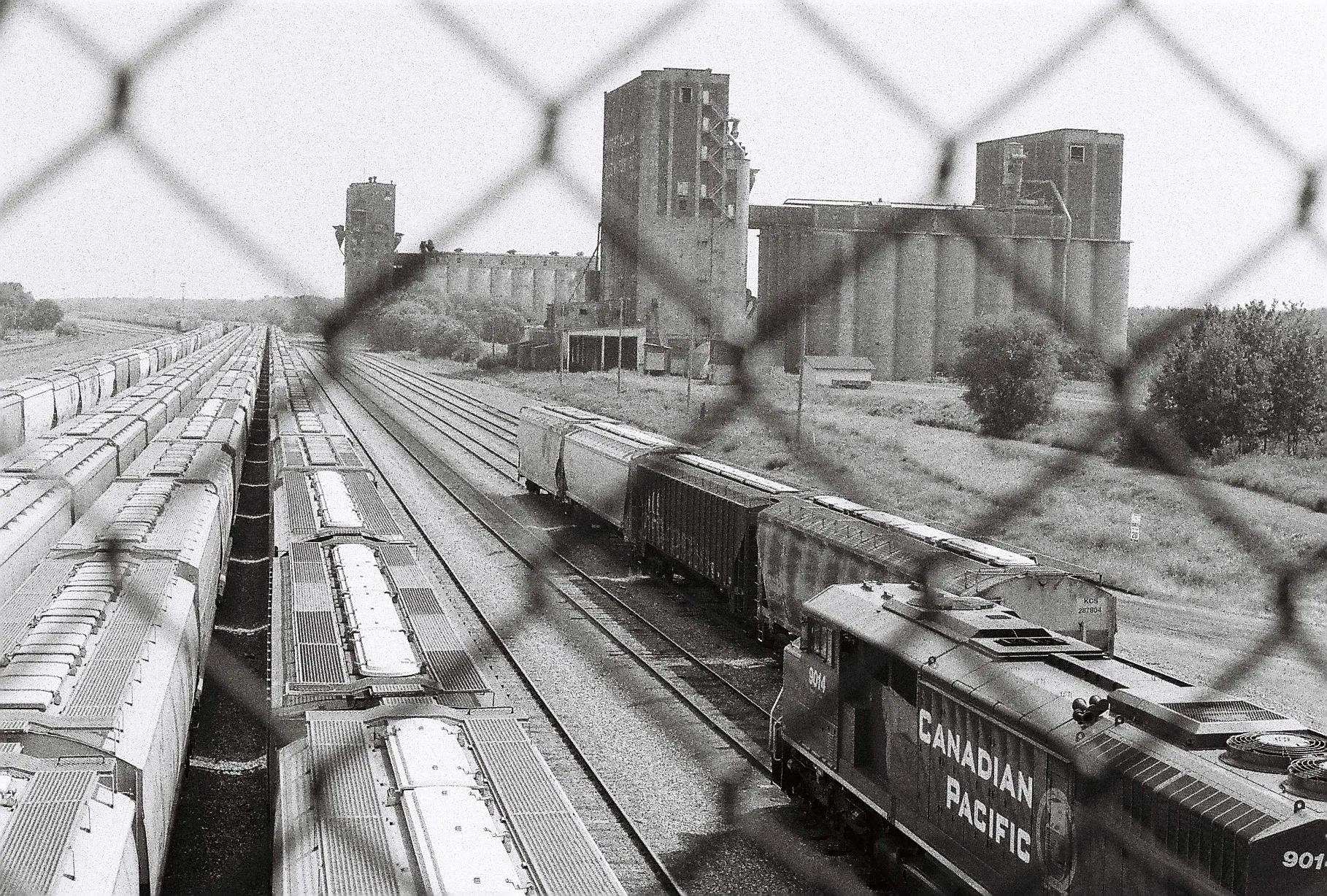 Forgotten Tracks