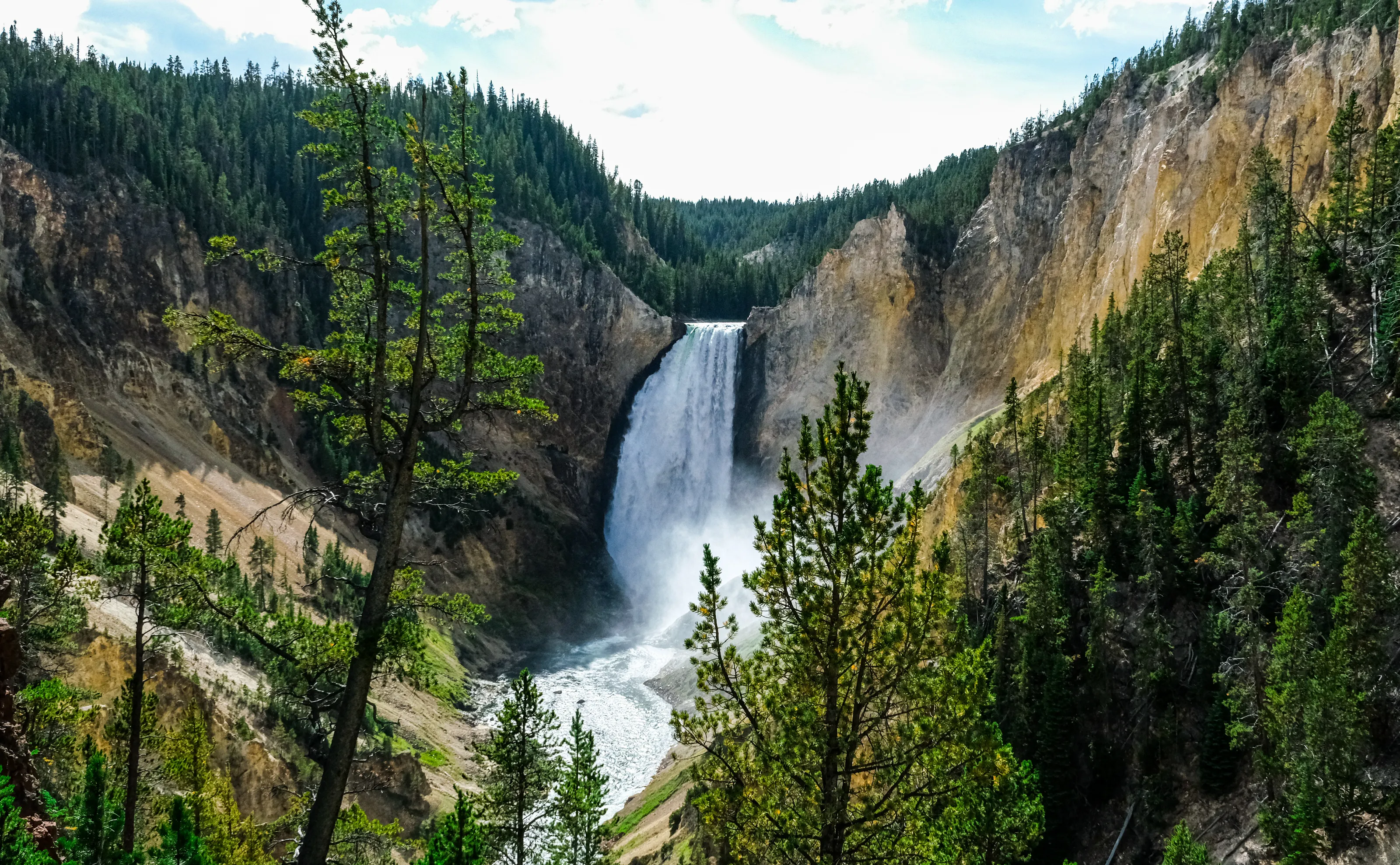 Yellowstone Falls