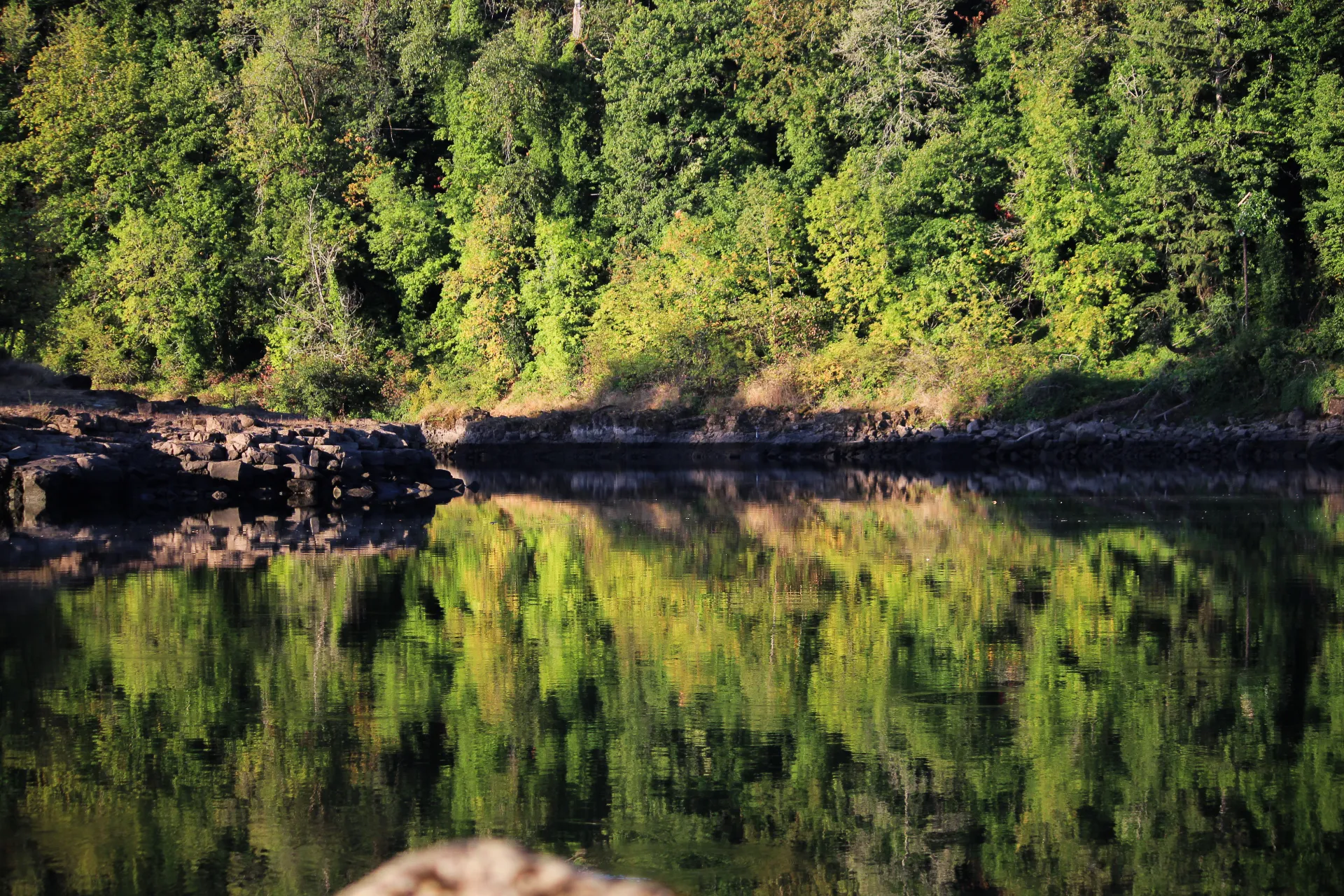 reflective river