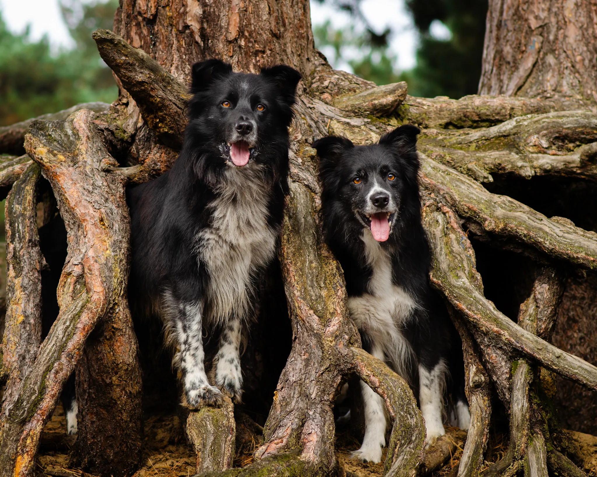 Double trouble